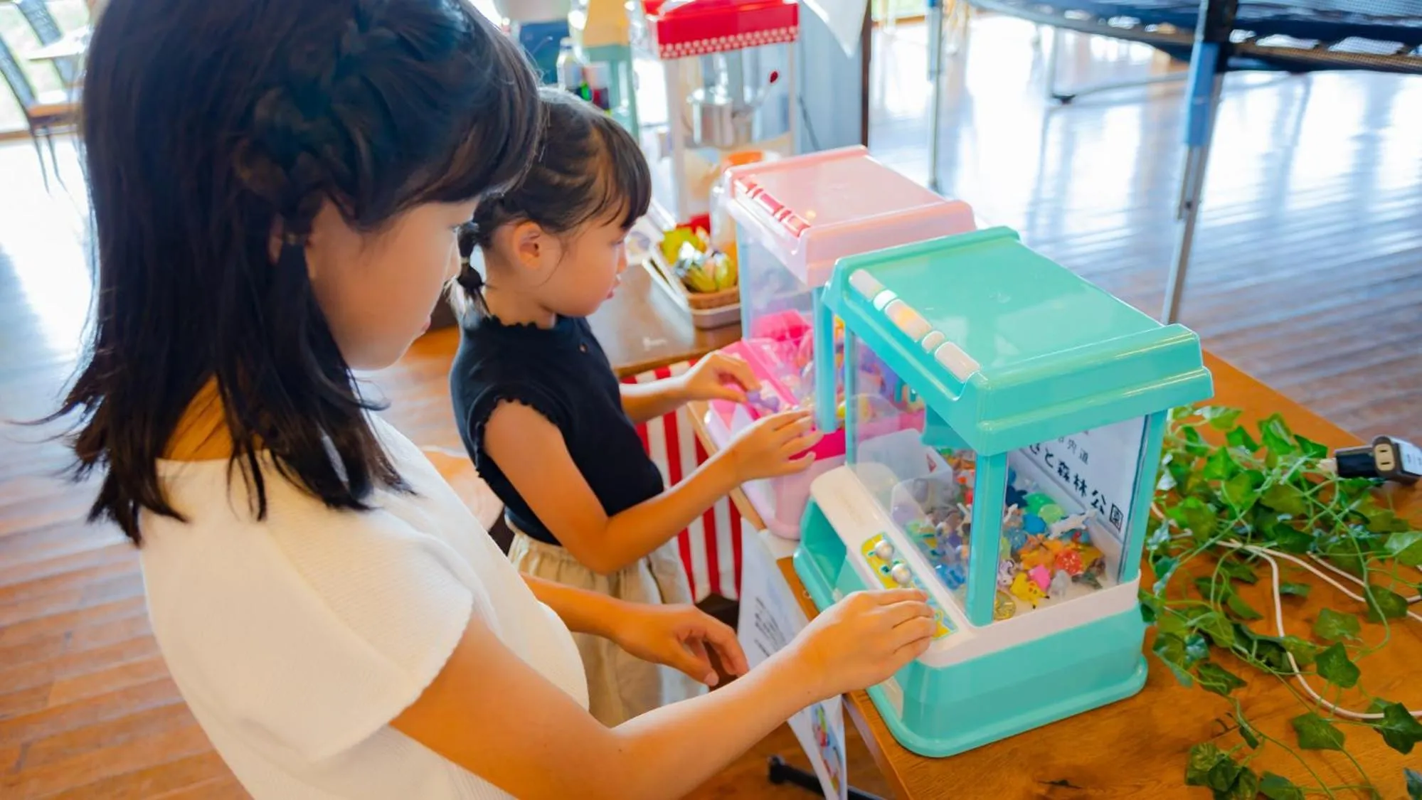 Area and facilities in Matsue Forest Park