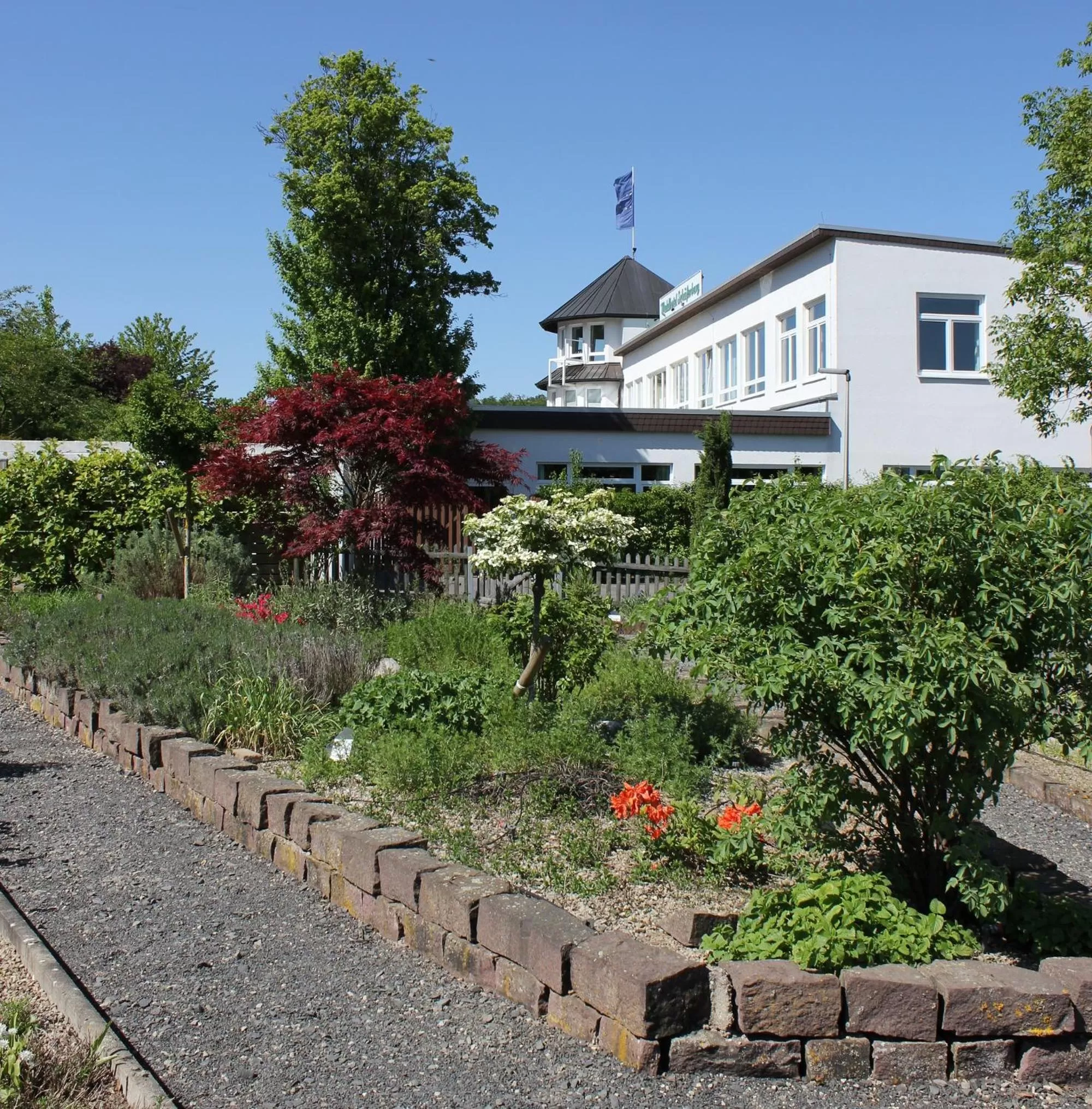 Garden view in Waldhotel Schäferberg