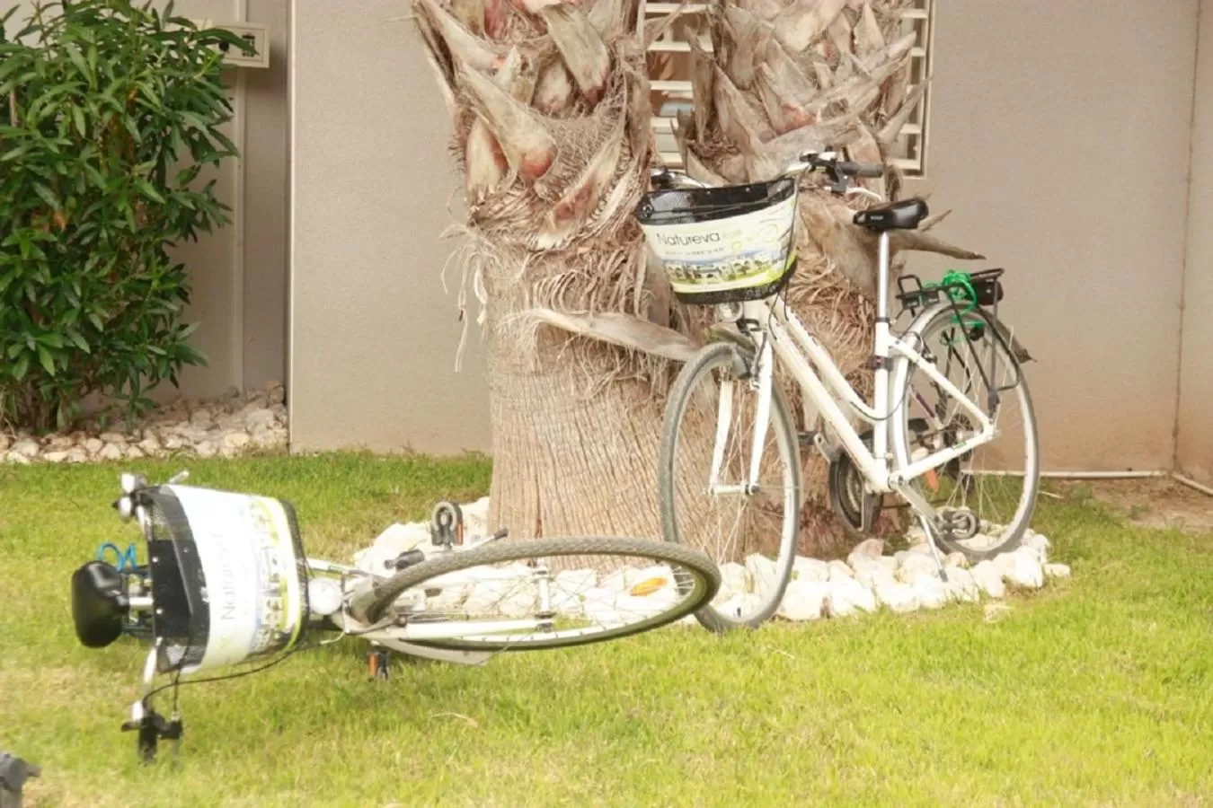 Area and facilities in Résidence Hôtelière Natureva & Spa