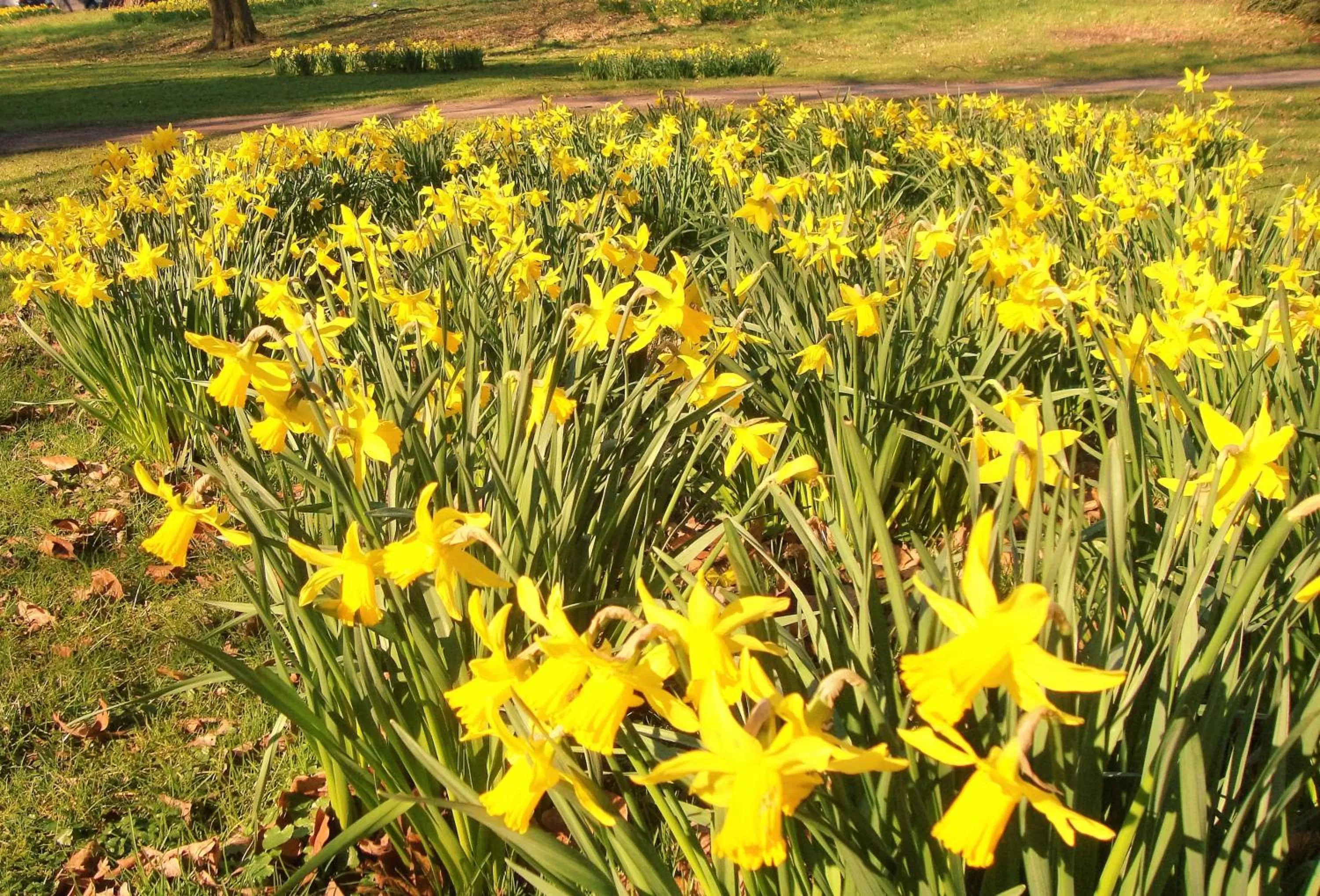 Neighbourhood in Vivere Ad Parcum - Bed And Breakfast