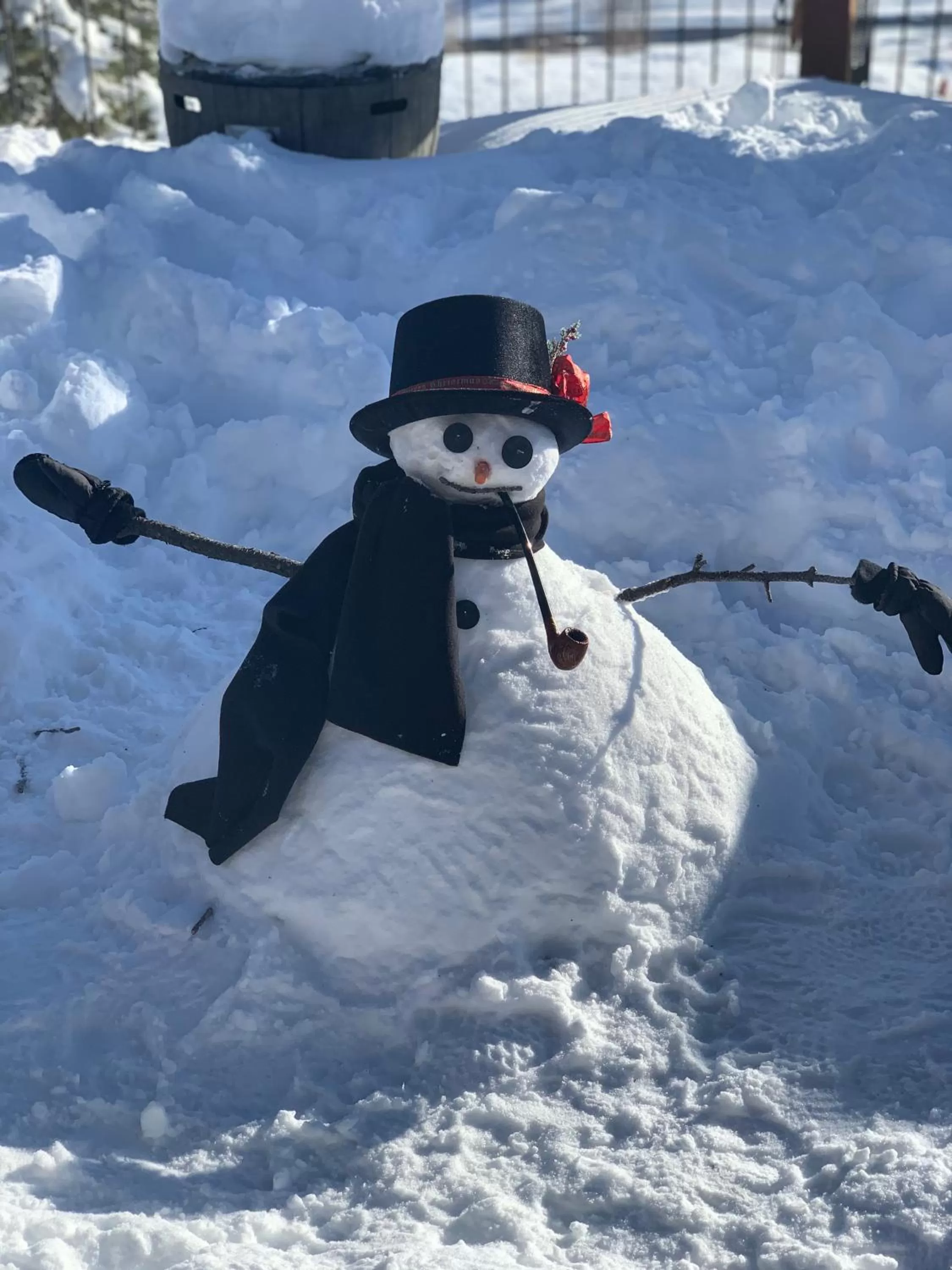 The North Face Lodge