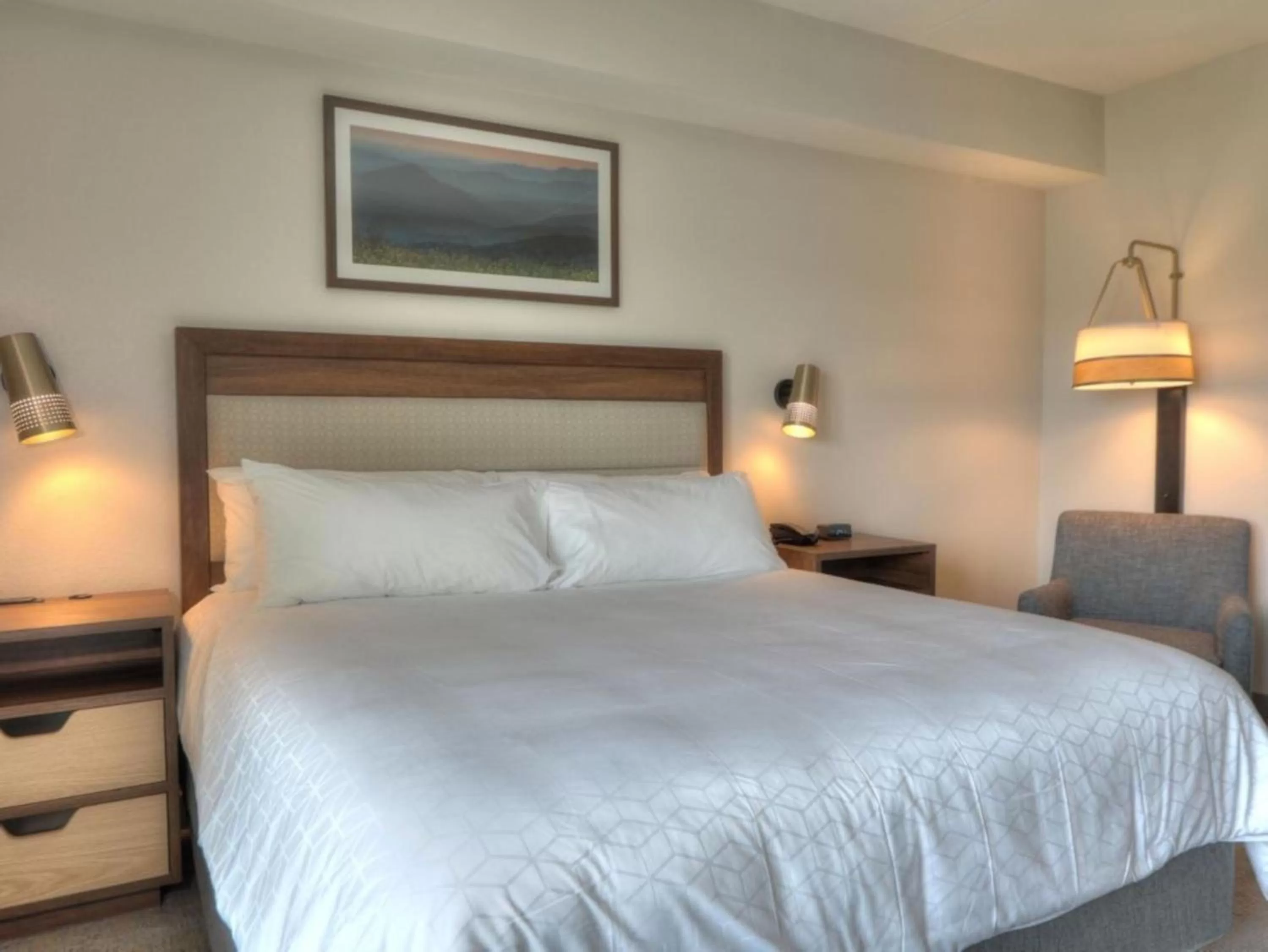 Bed in Holiday Inn & Suites Pigeon Forge Convention Center by IHG