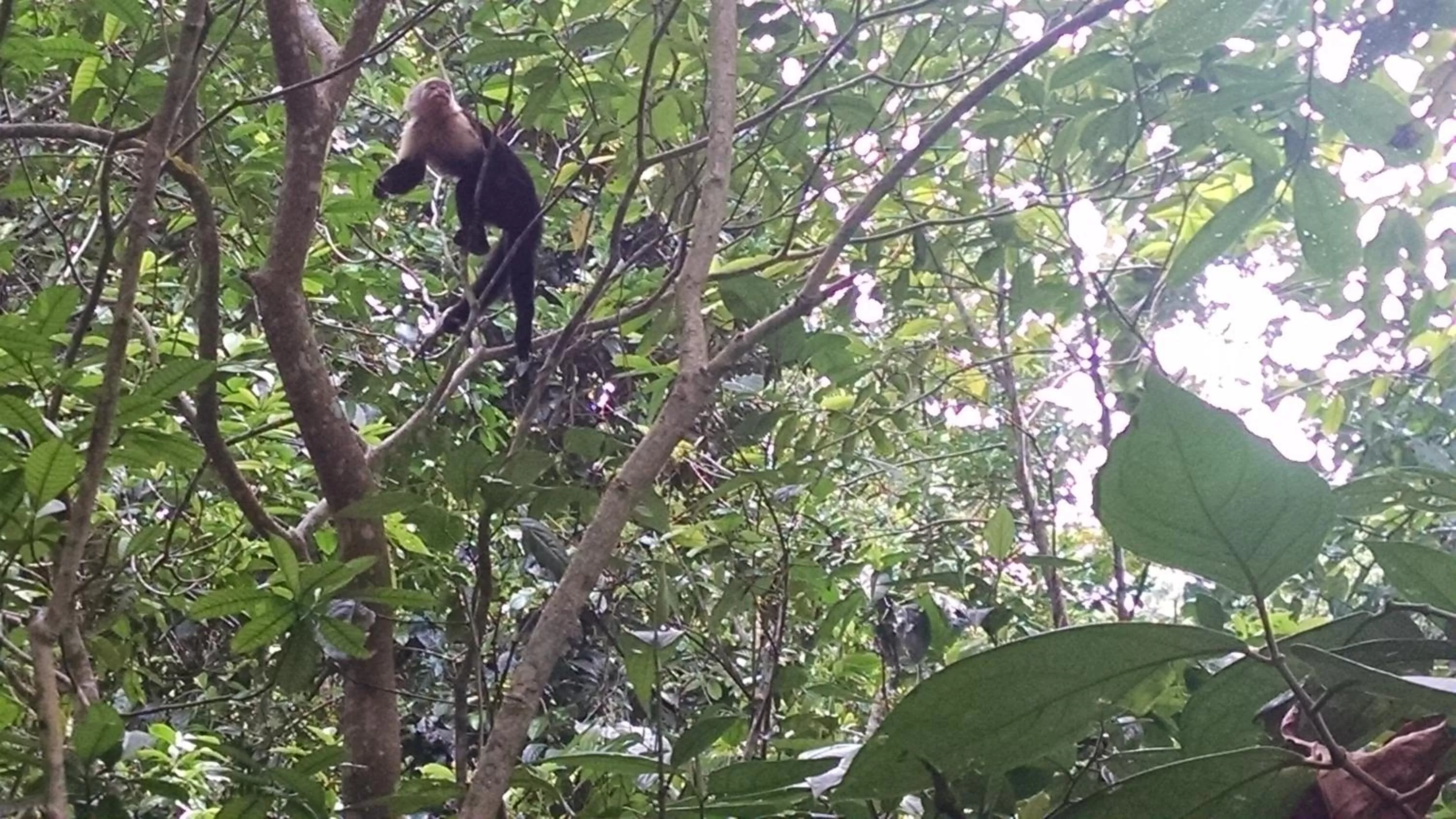 Day in Surf Break at Paunch
