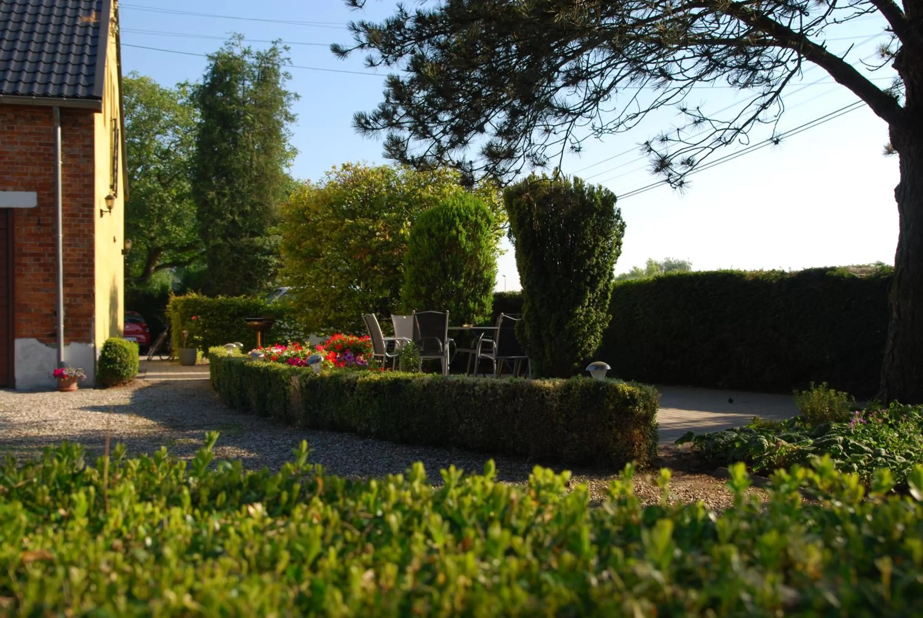 Garden in B&B Het Uilennest