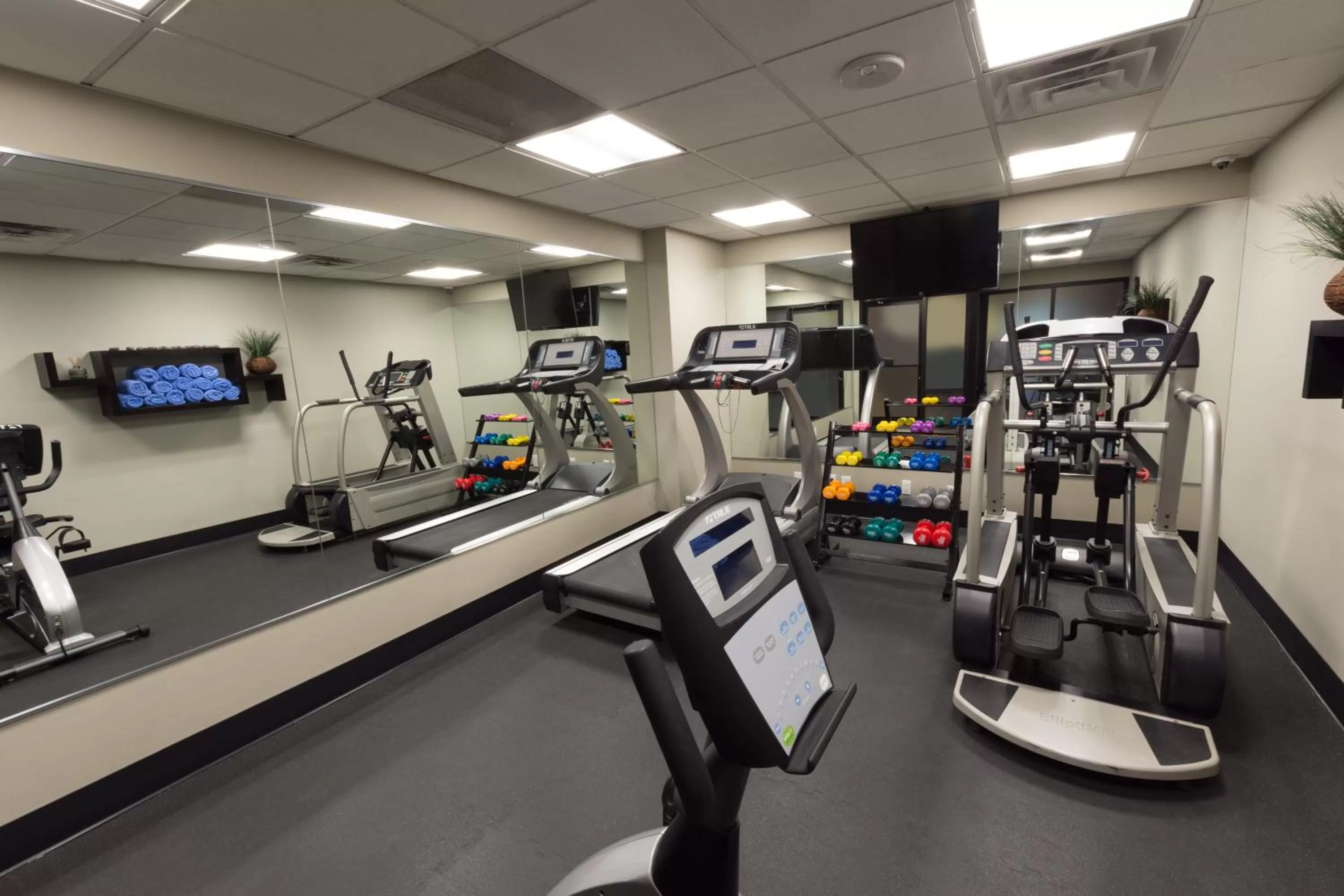 Fitness centre/facilities in The Carriage House