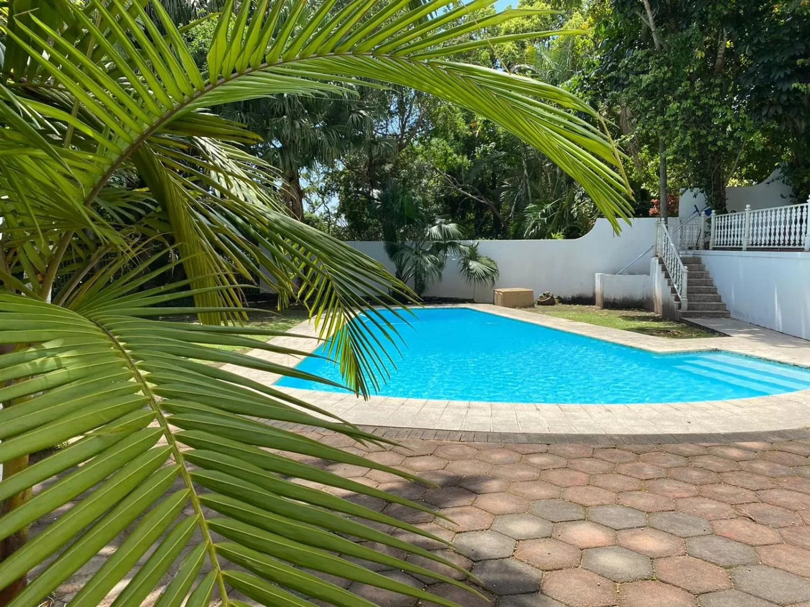 Swimming pool in The Whitehouse Bed and Breakfast