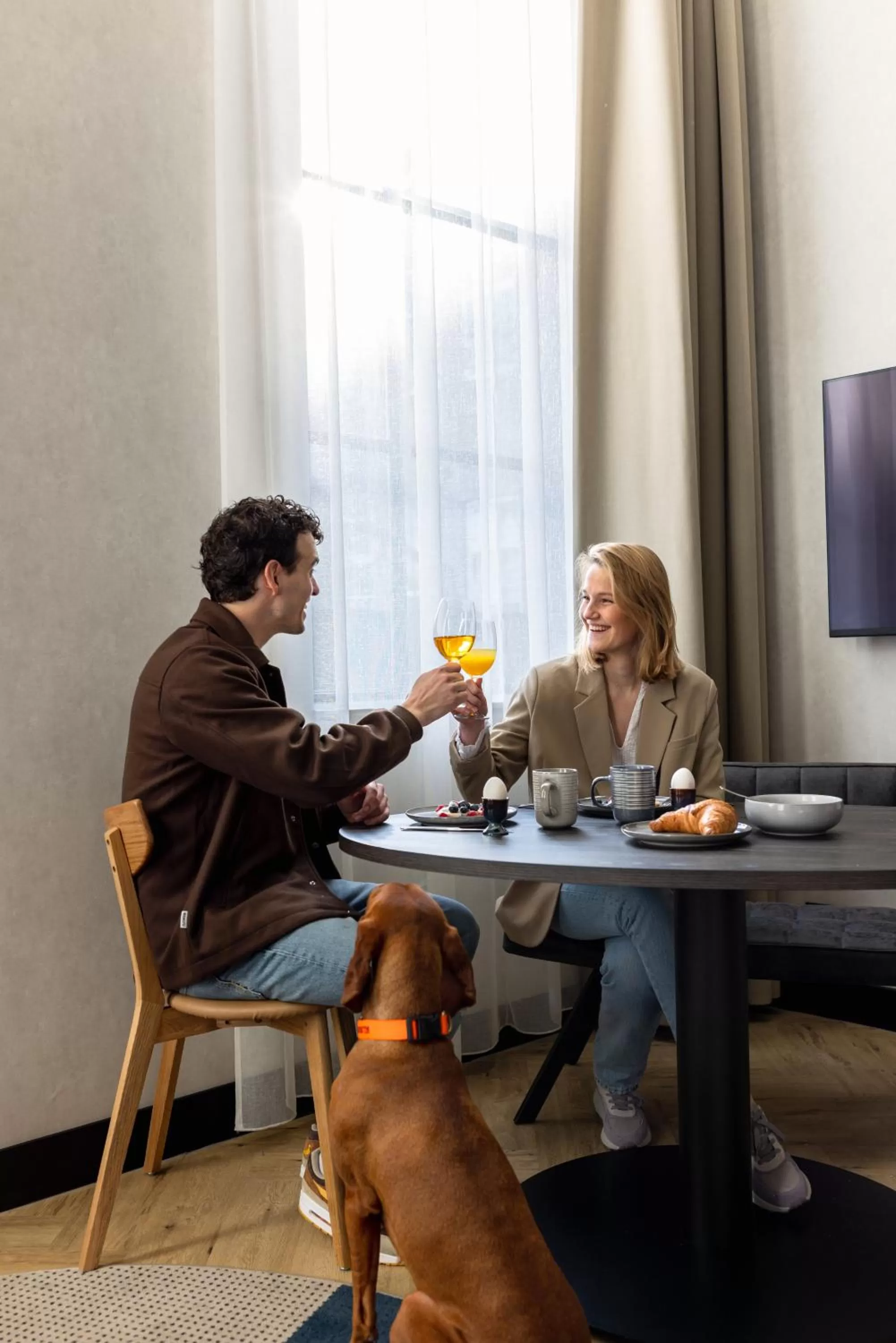 Pets in Ocean House Scheveningen