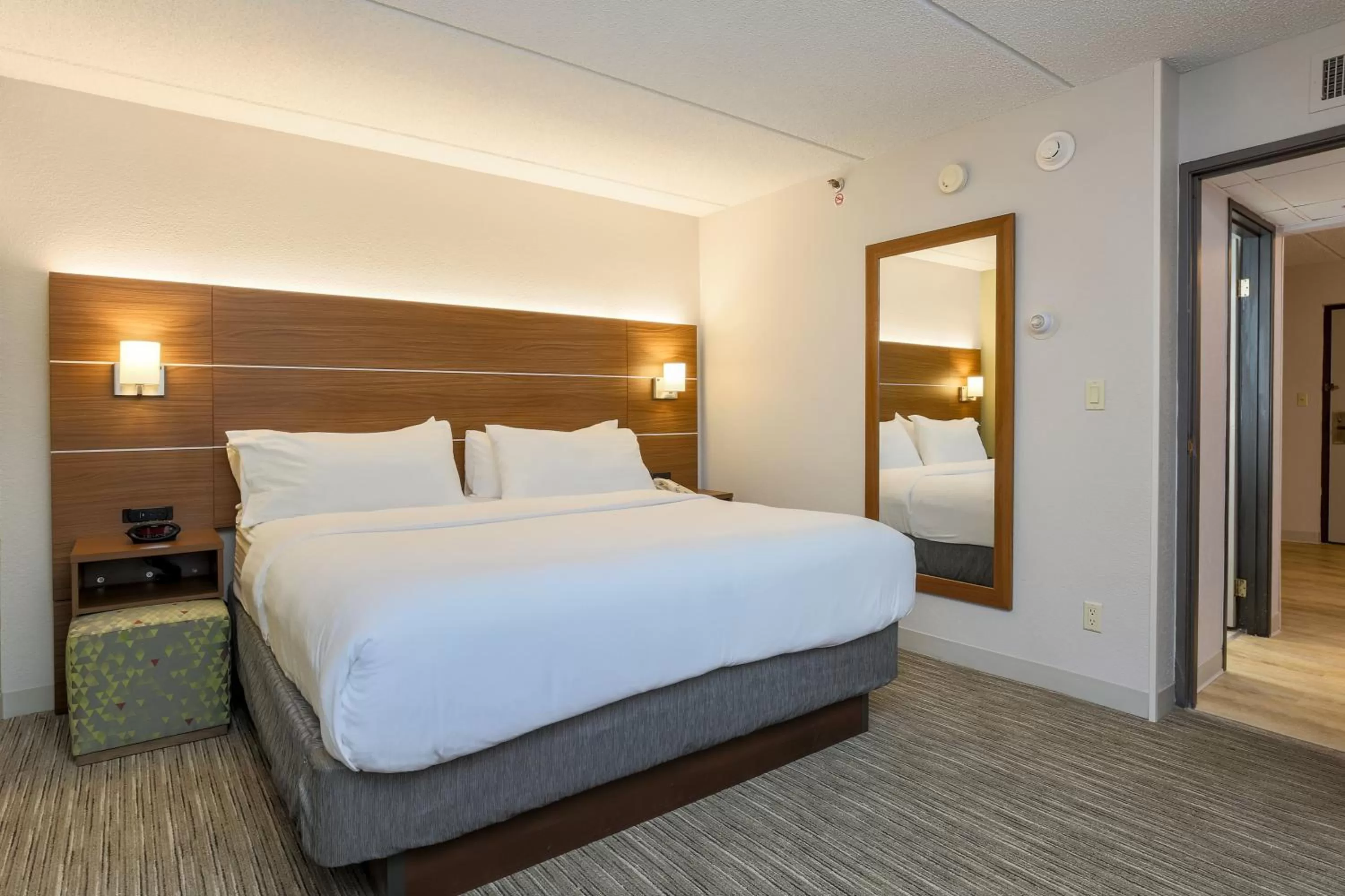 One-Bedroom King Suite in Holiday Inn Express Milwaukee - West Medical Center, an IHG Hotel