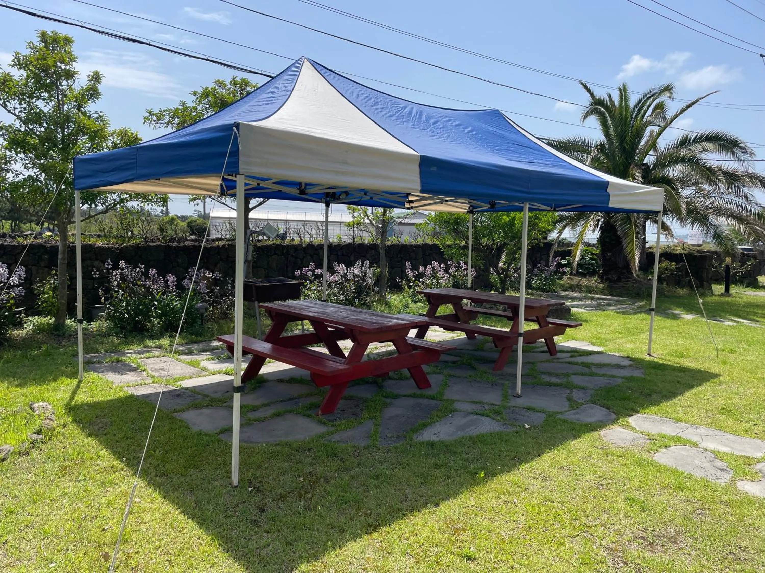 Garden view in Poema Stay Pension