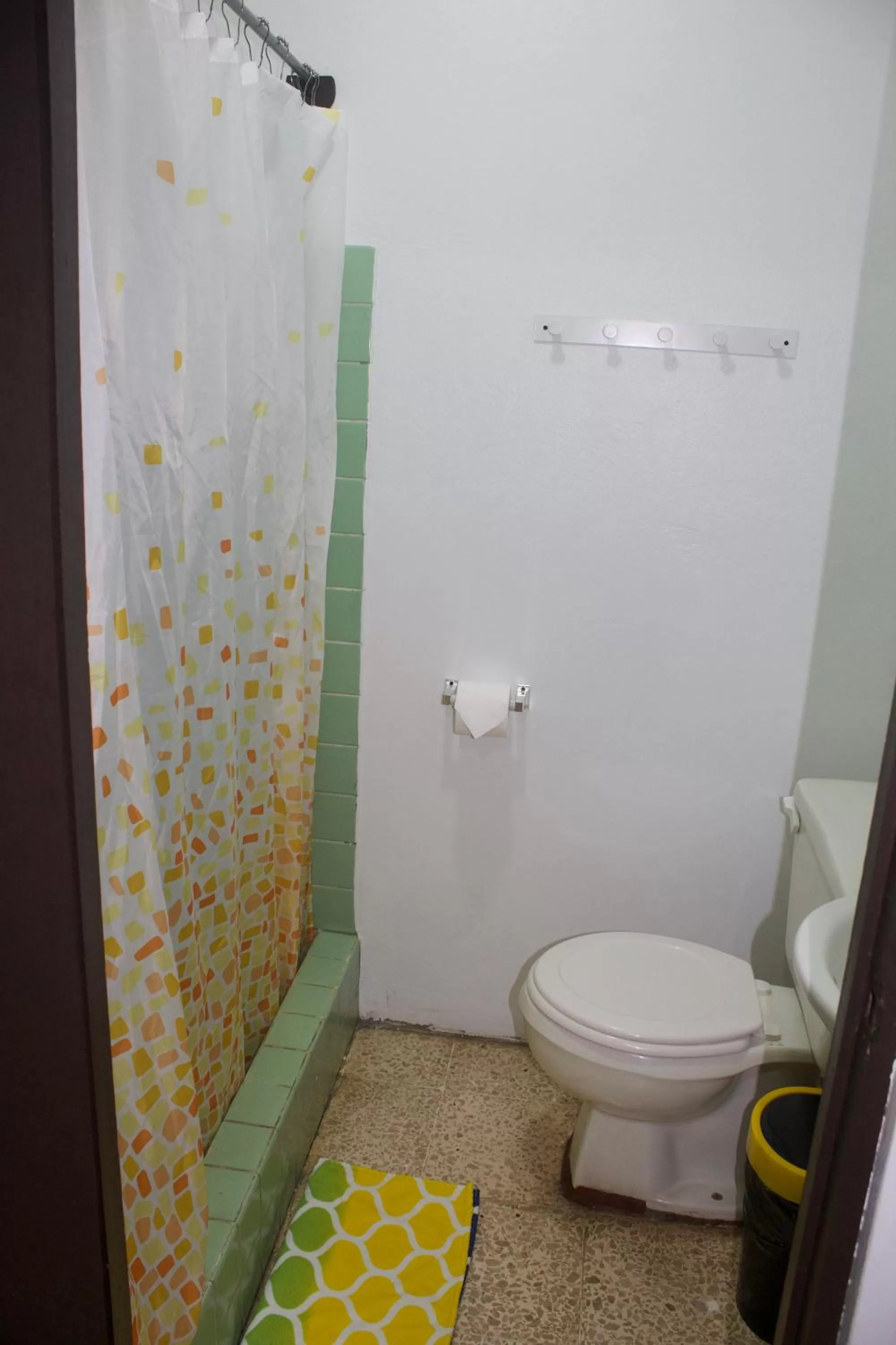 Shower, Bathroom in Hotel Cañas