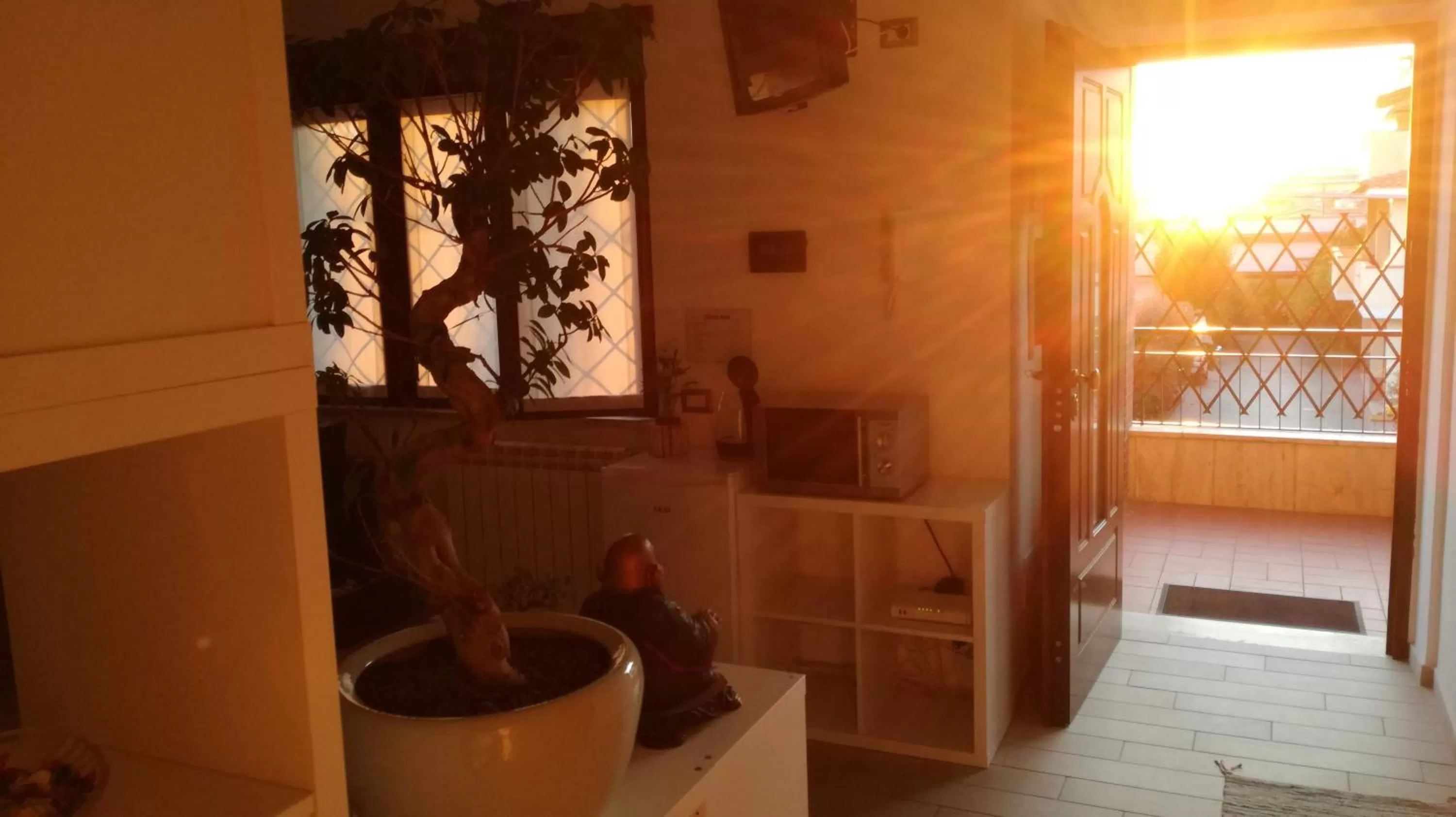 Communal lounge/ TV room in Bonsai Bed & Breakfast