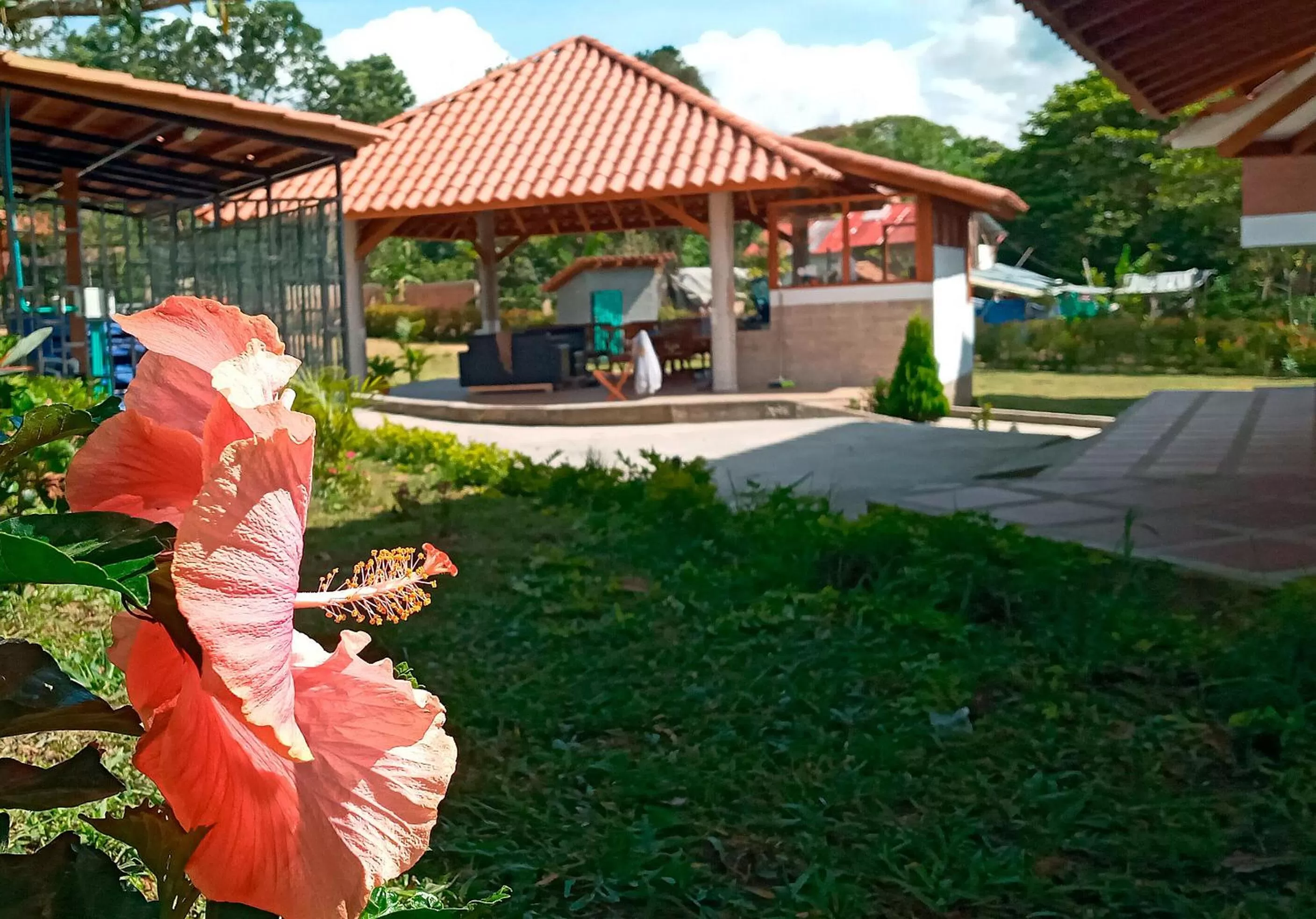 Restaurant/places to eat in Hotel Kasama