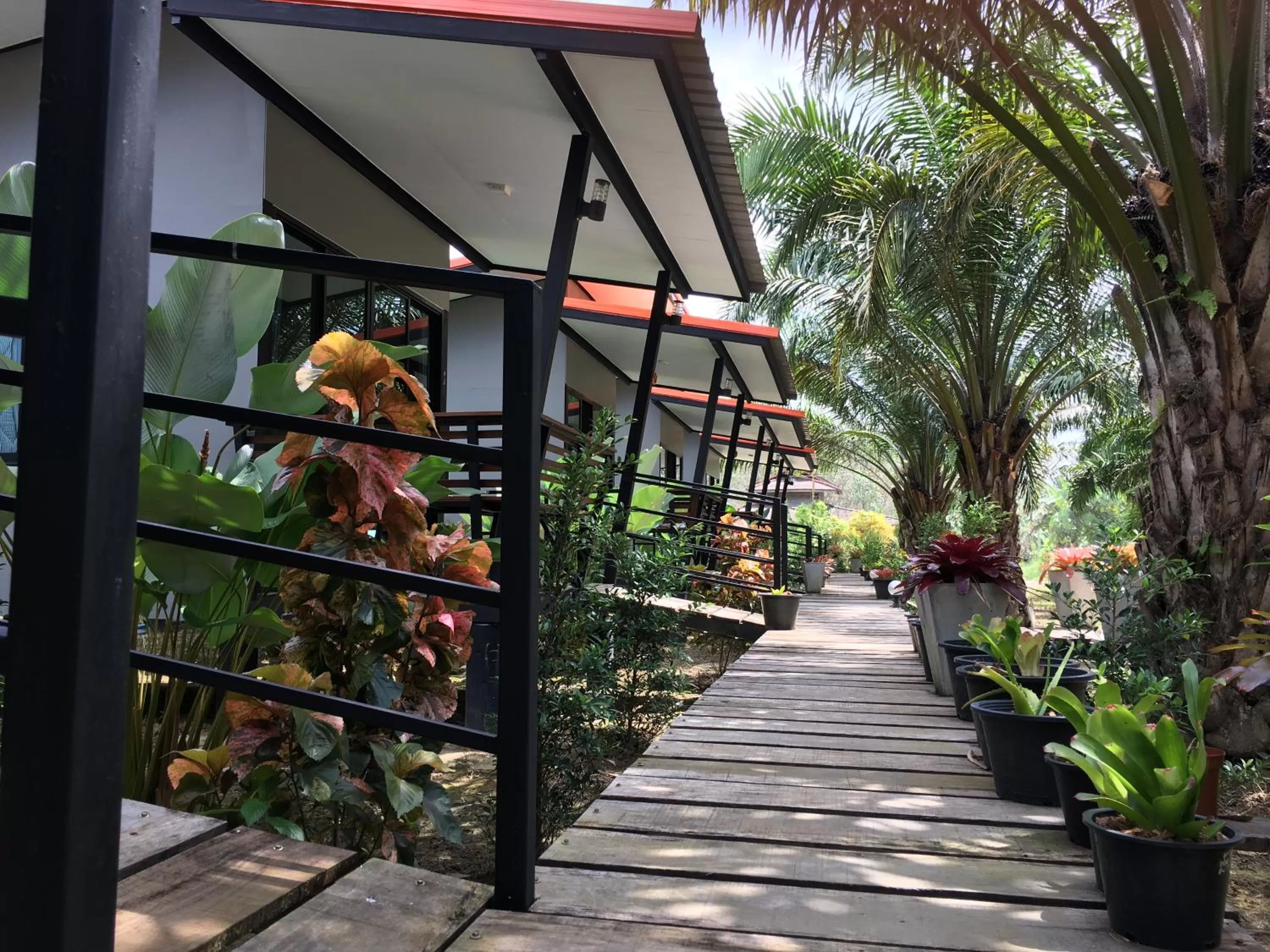 Property building in Khao Sok Residence Resort