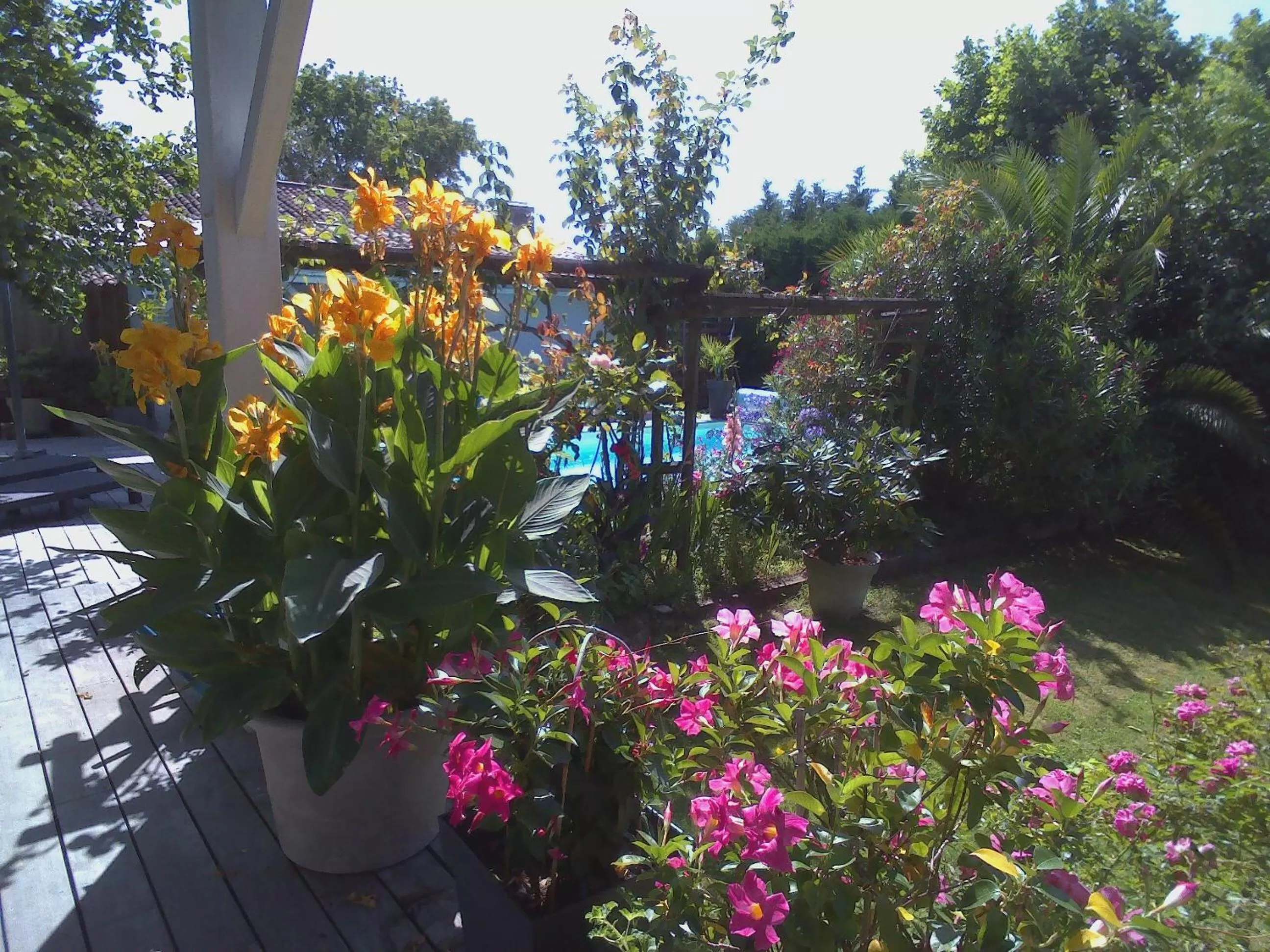 Garden in Les Arums de Fondeminjean
