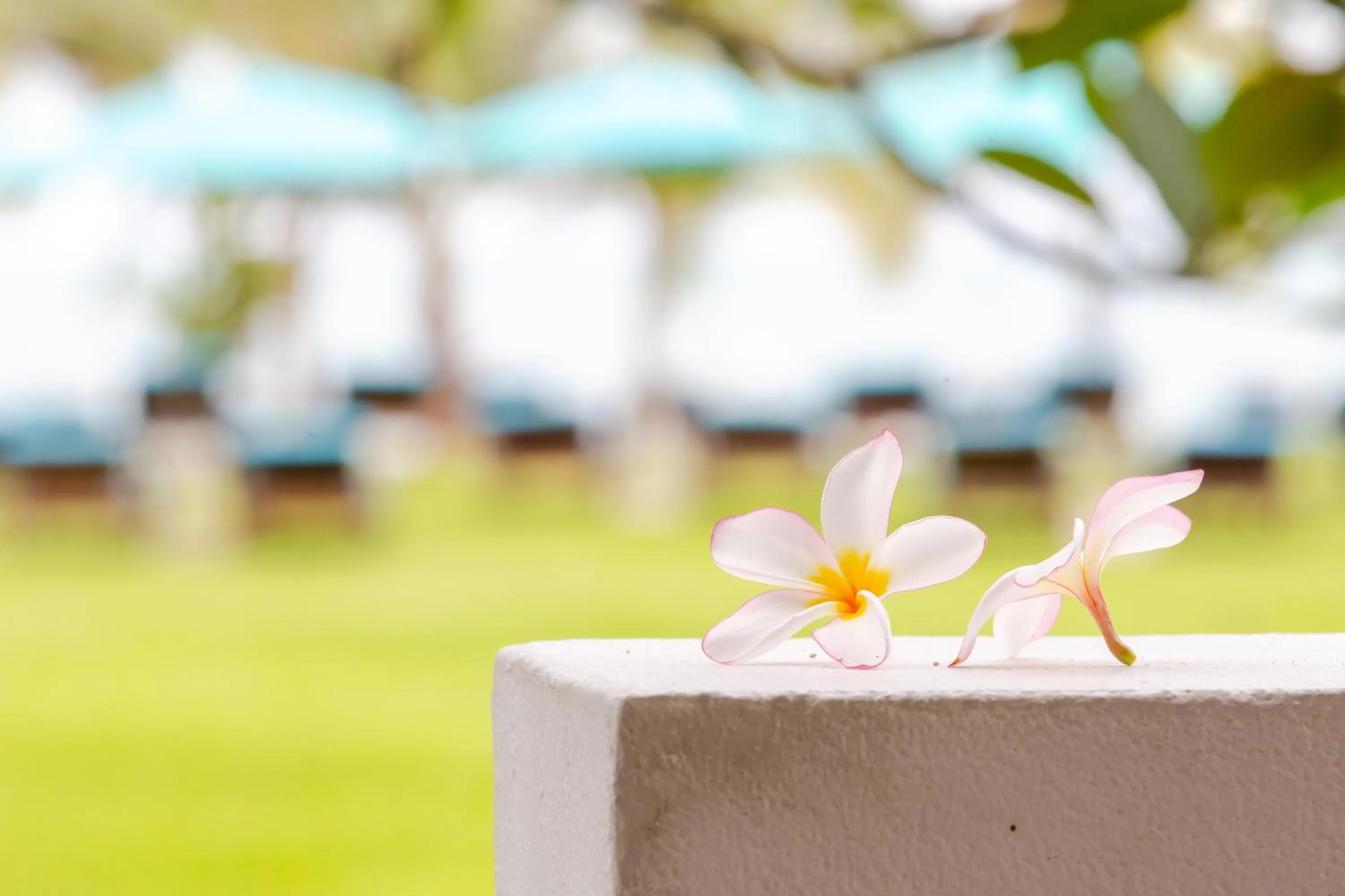 Sea view in Pinnacle Grand Jomtien Resort and Beach Club