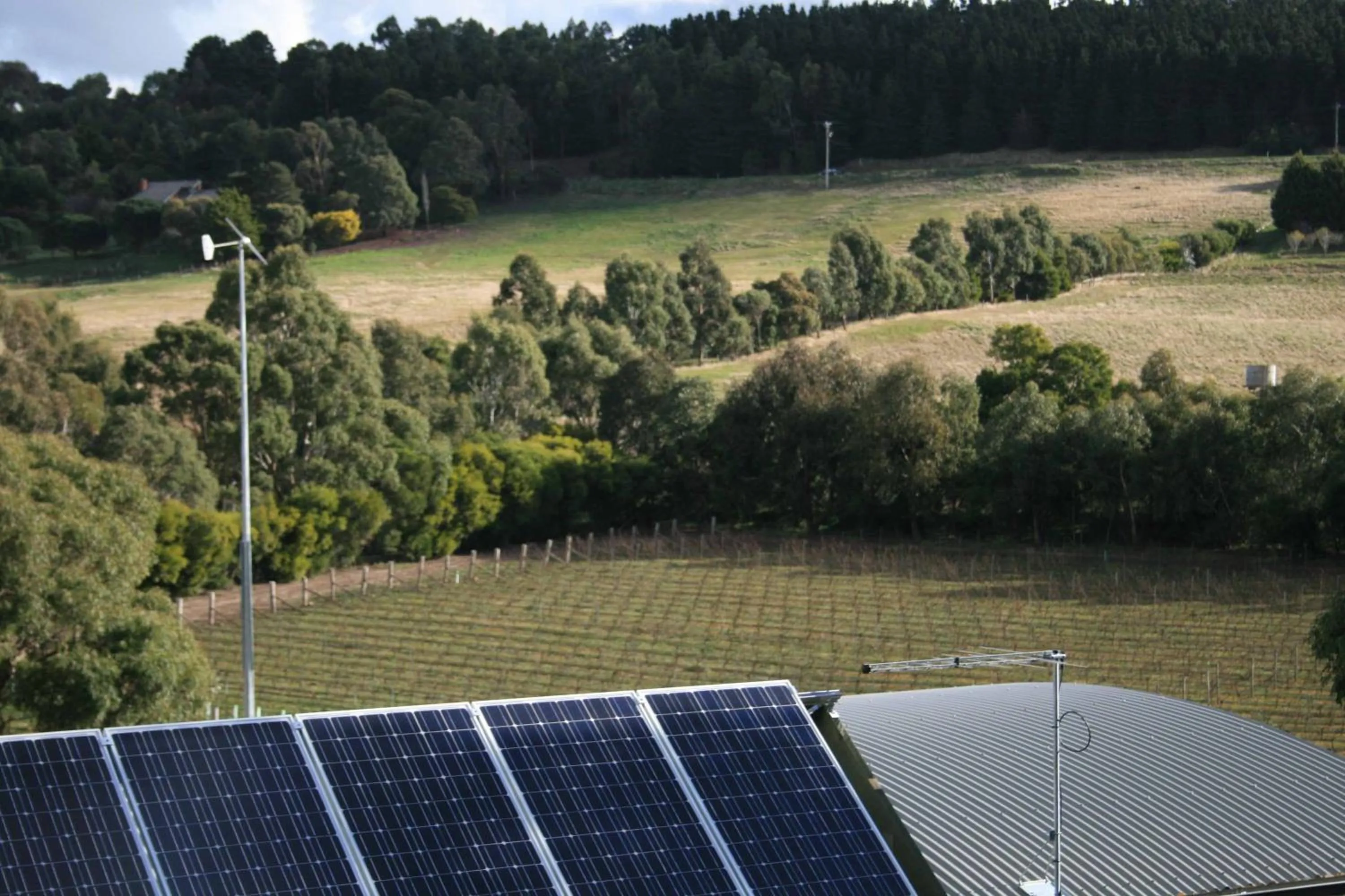 View (from property/room) in Gisborne Peak Winery Short Term Stays