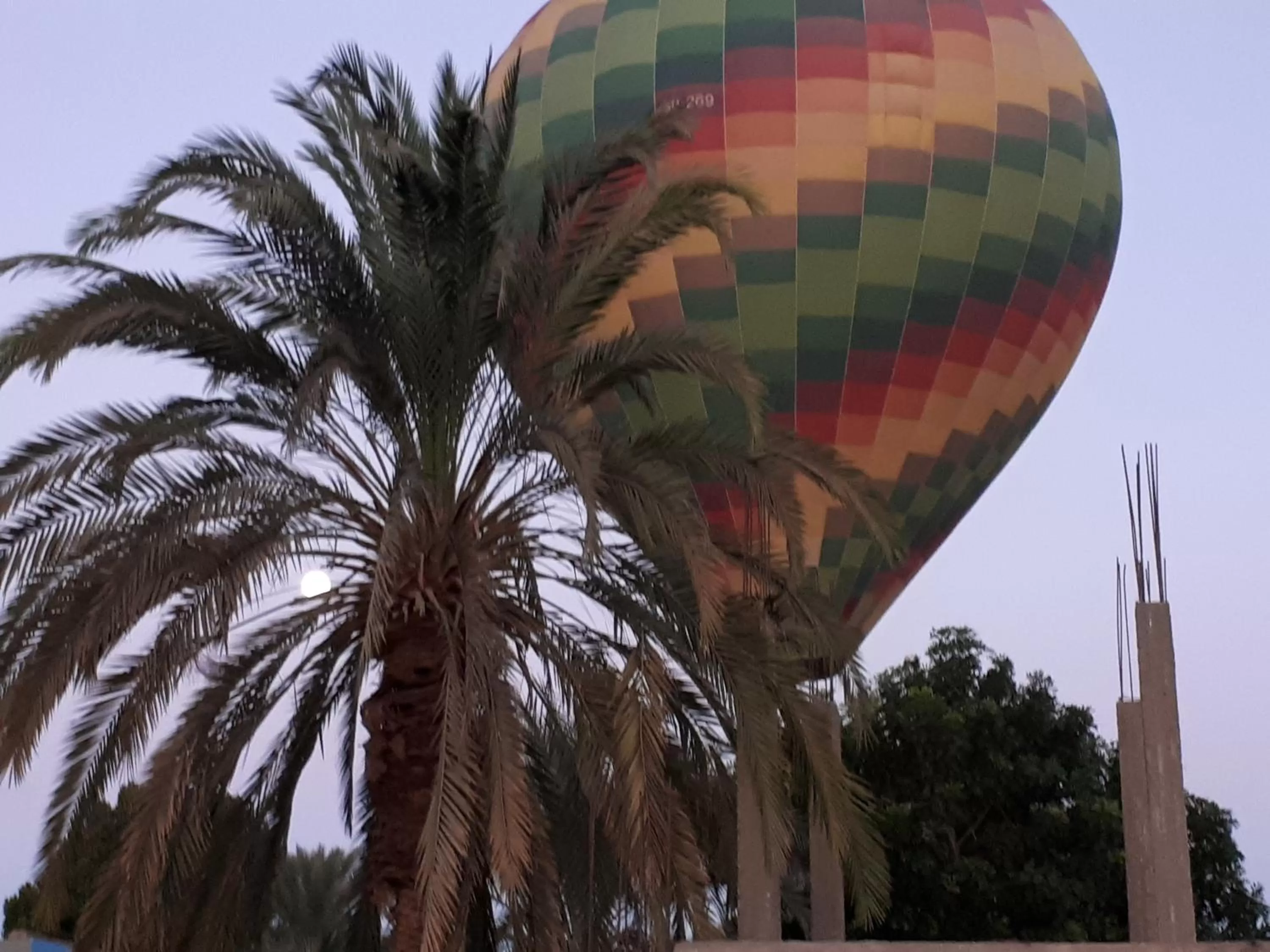 Sunflower Guest House Luxor West Bank