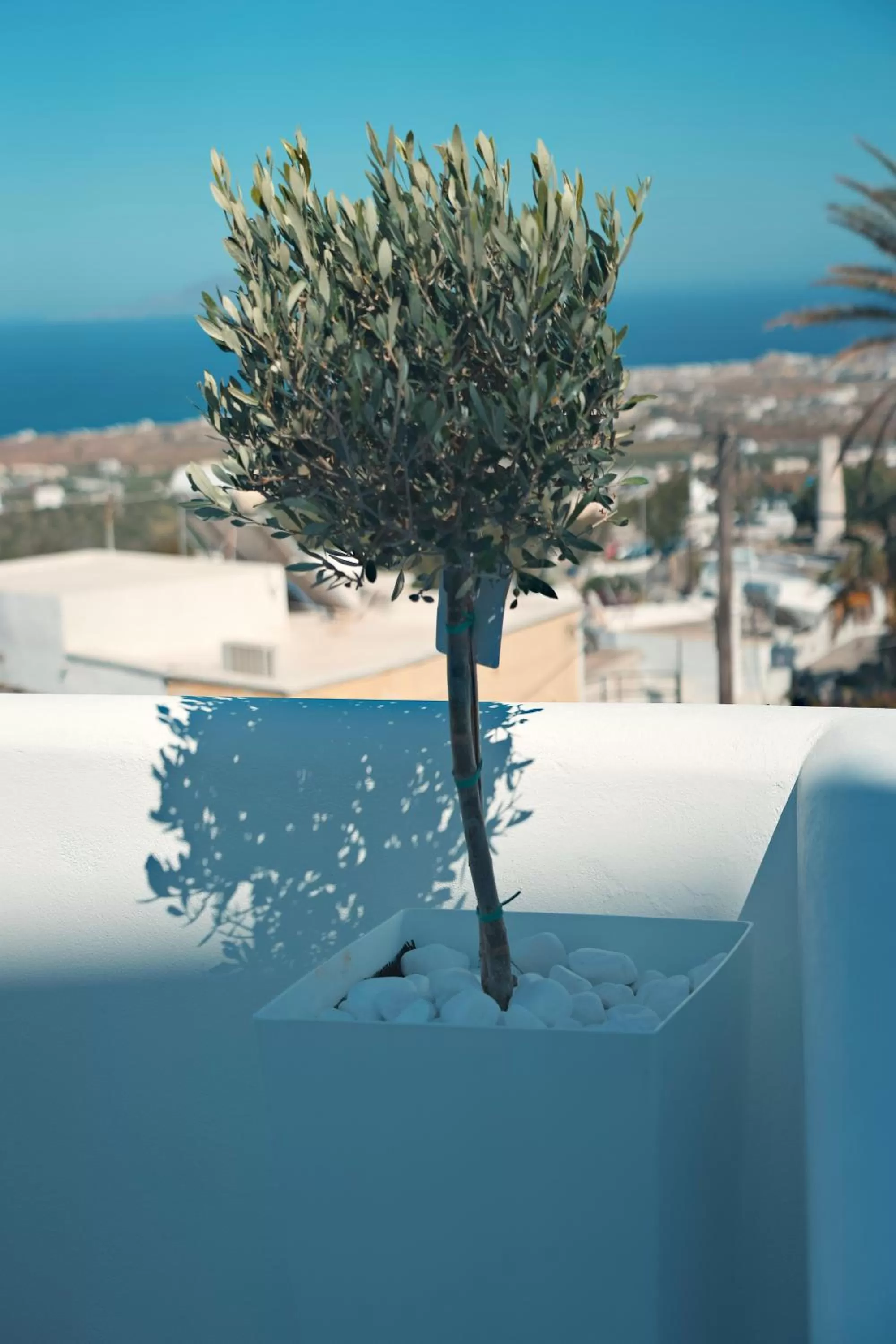 Day in Eternity Suites Santorini