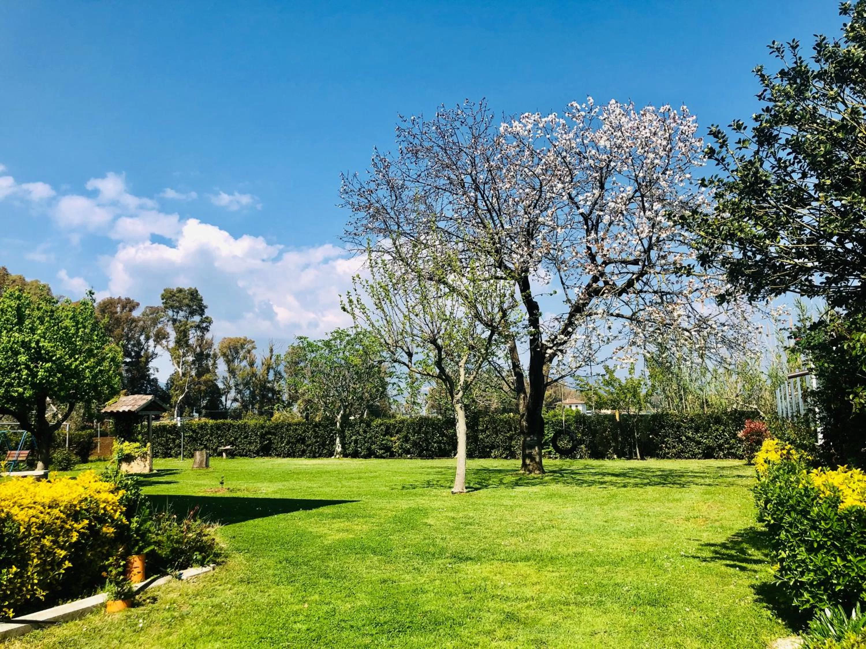 Oasi di Francesca B&B