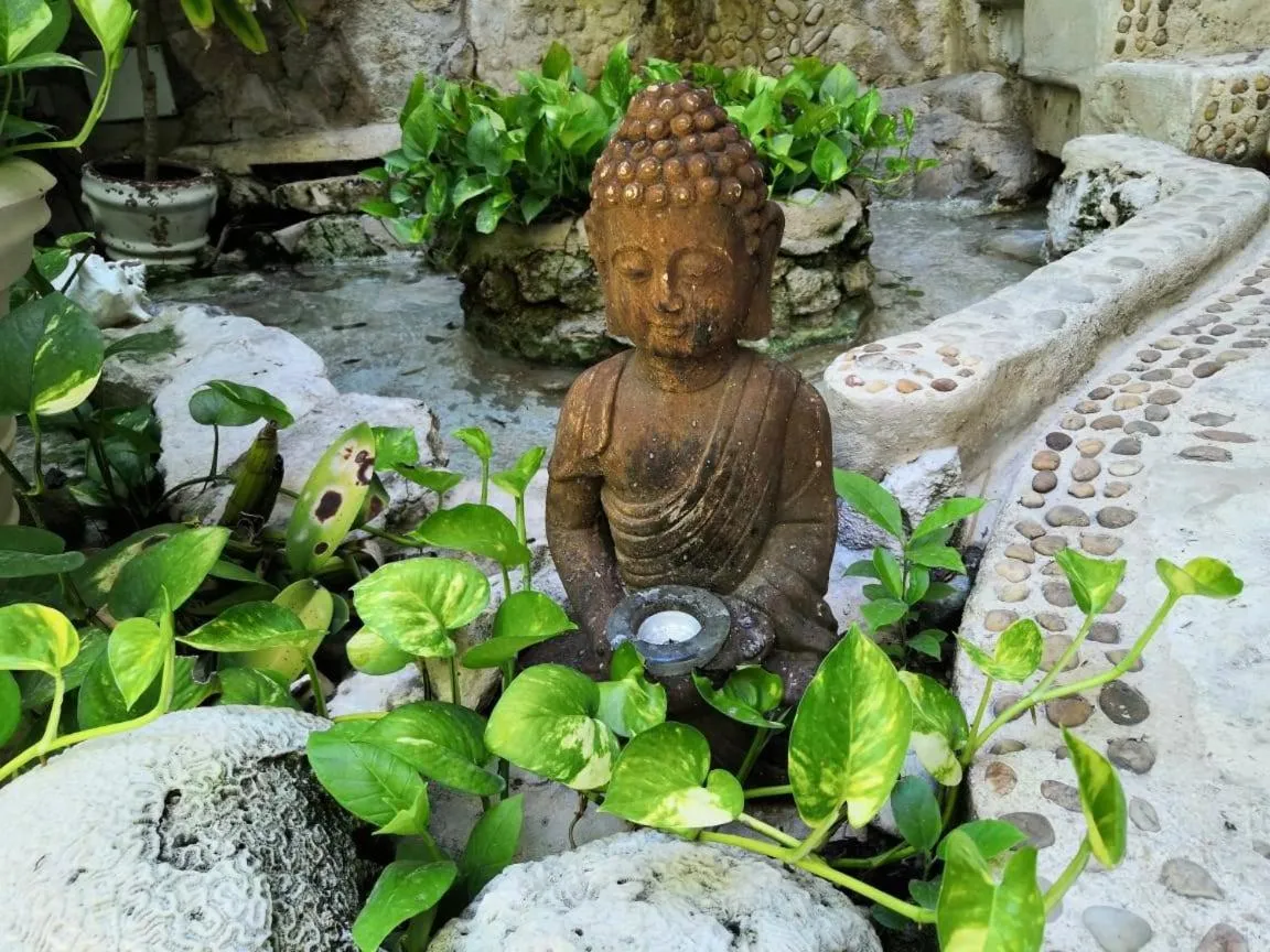 Other Animals in Hotel Coco Rio "City Center"