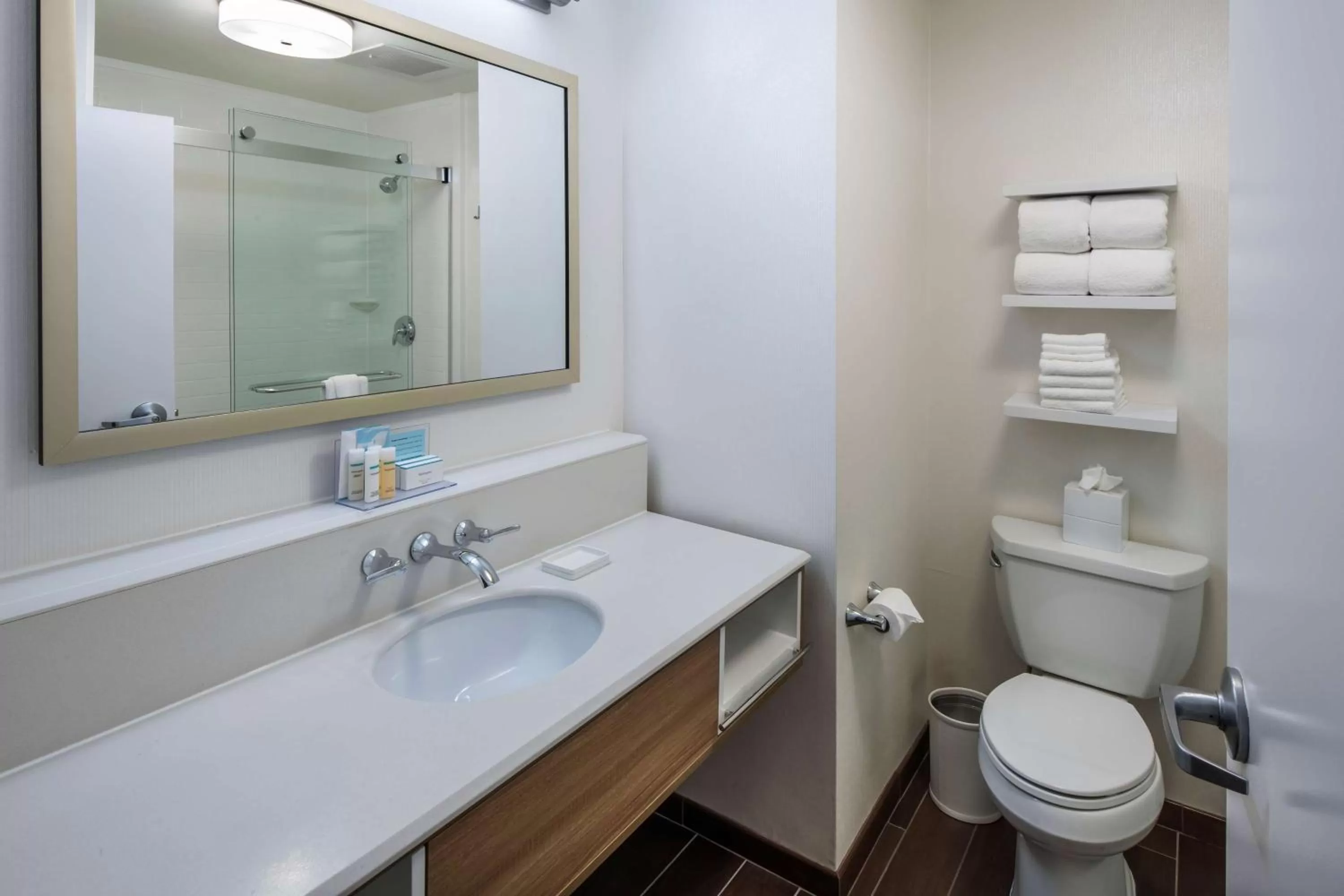 Bathroom in Hampton Inn & Suites Lincolnshire