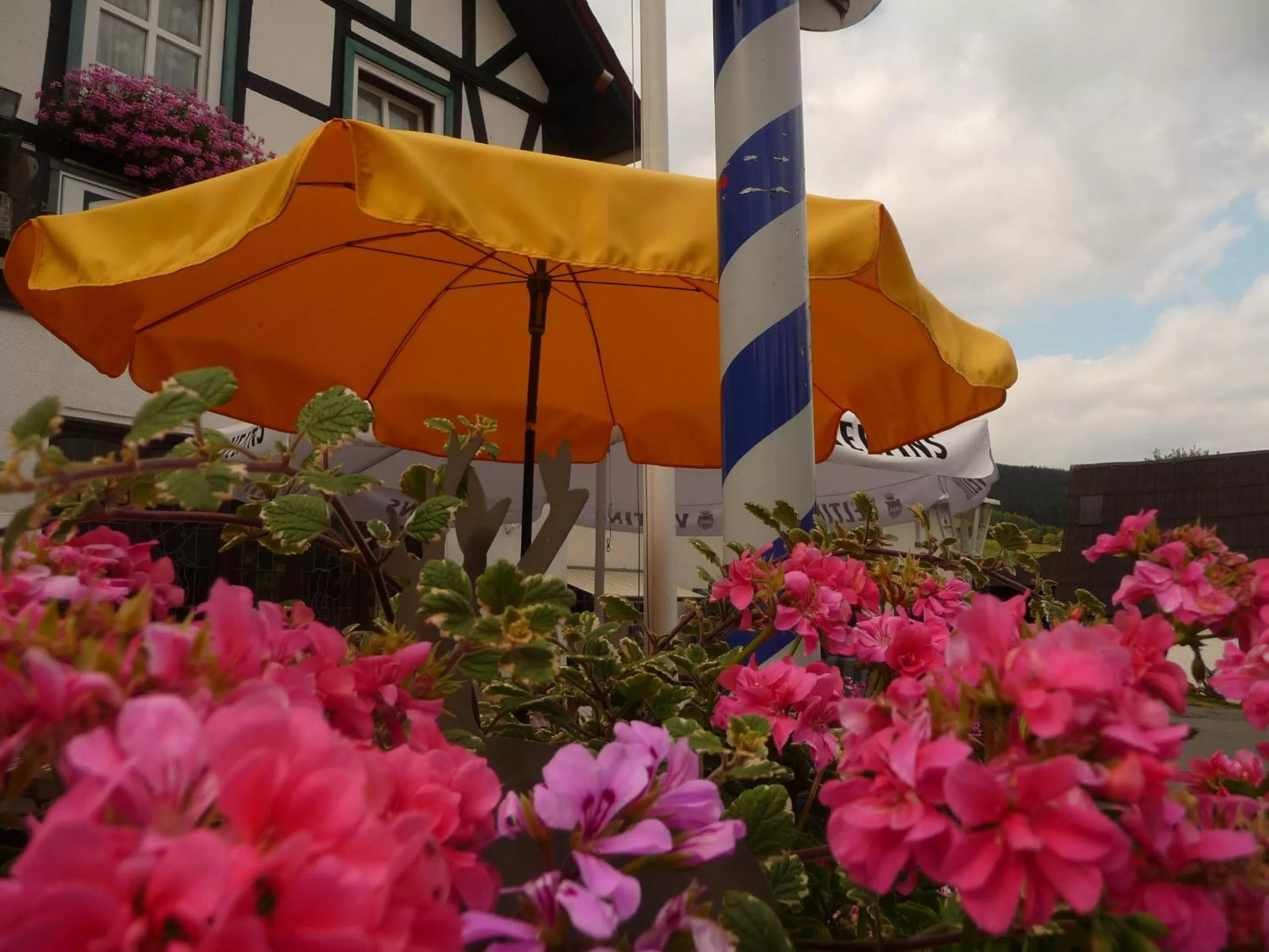 Hotel "Woiler Hof" garni