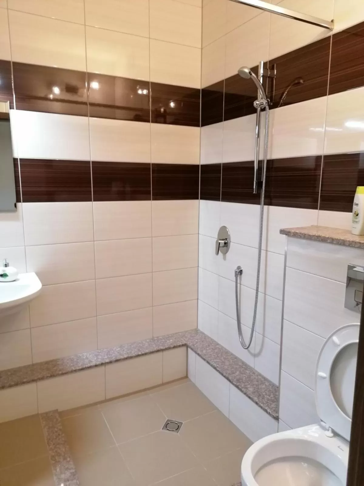 Bathroom in Hotel Lago Peshtera