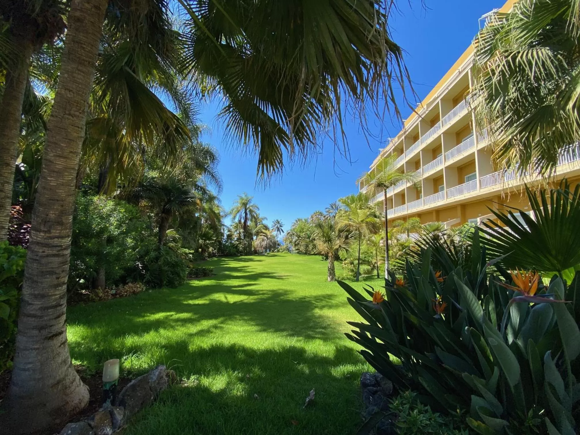 Garden in Hotel Tigaiga
