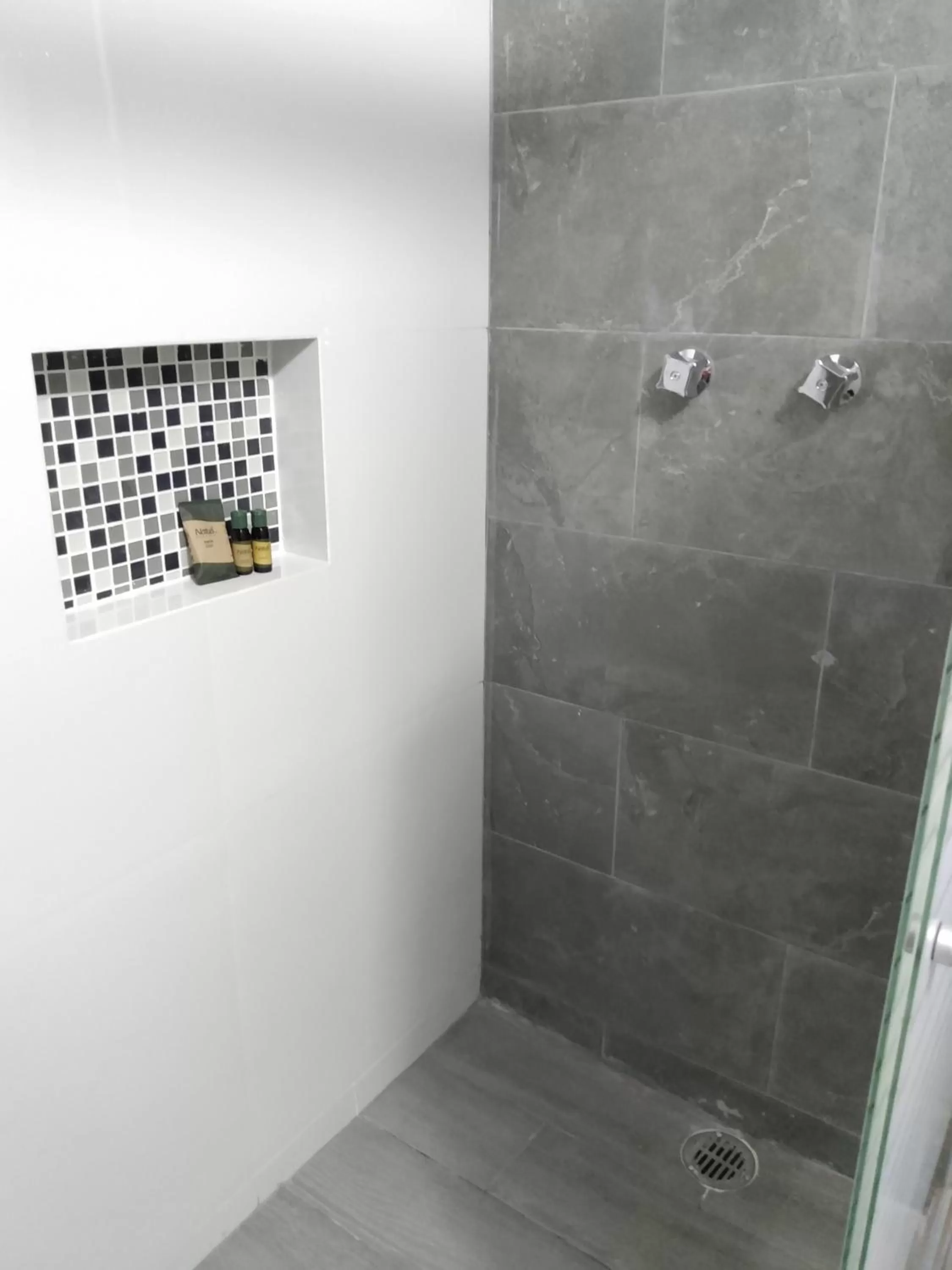 Shower in EXECUTIROOMS VERACRUZ