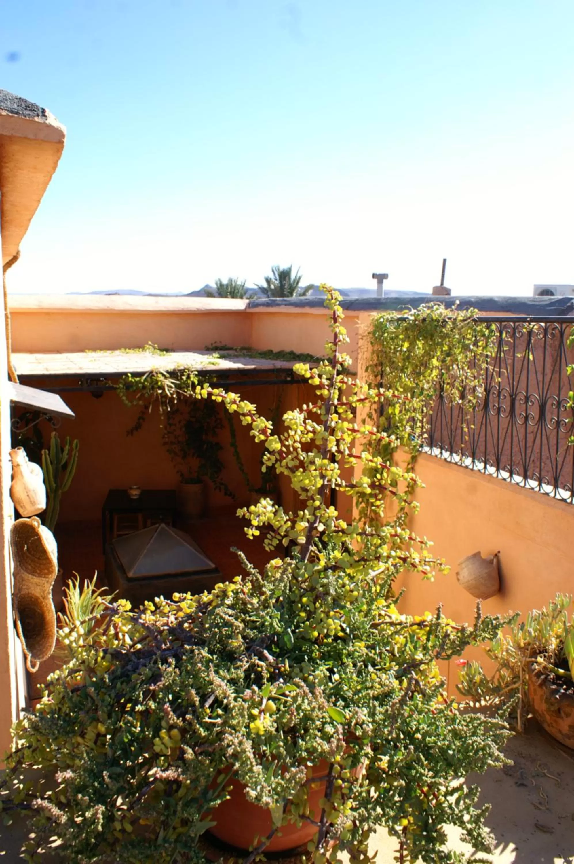 Balcony/Terrace in Maison d'hôtes Dar El Nath