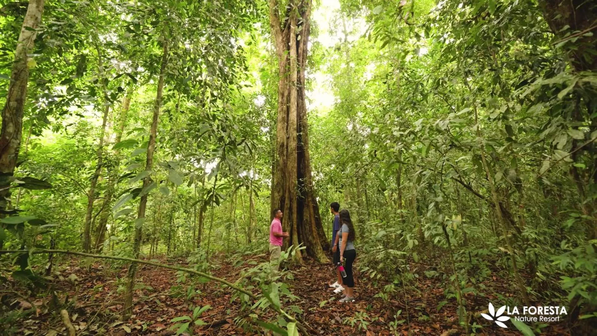 Hiking in La Foresta Nature Resort