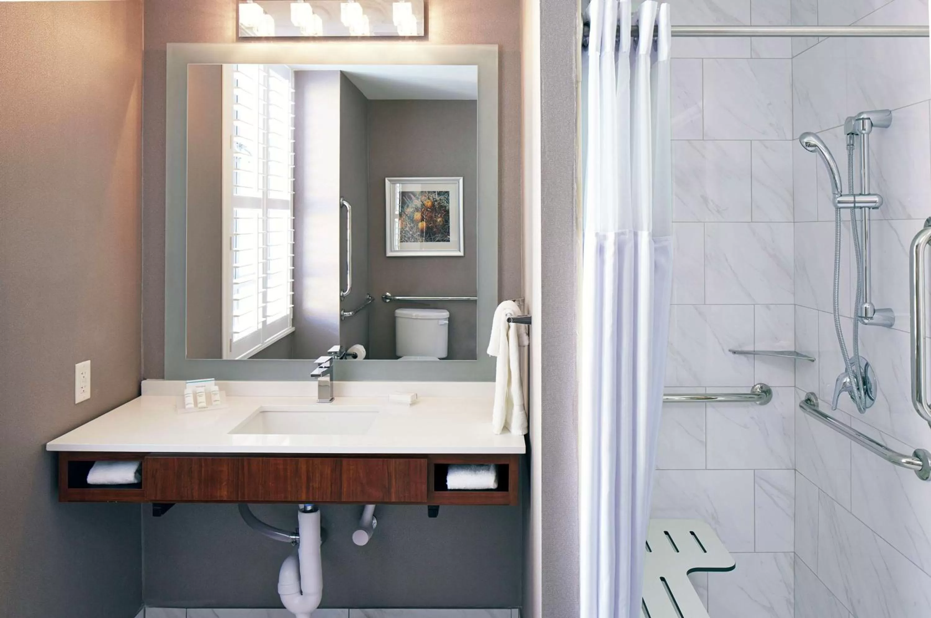 Bathroom in Hilton Garden Inn Phoenix Downtown