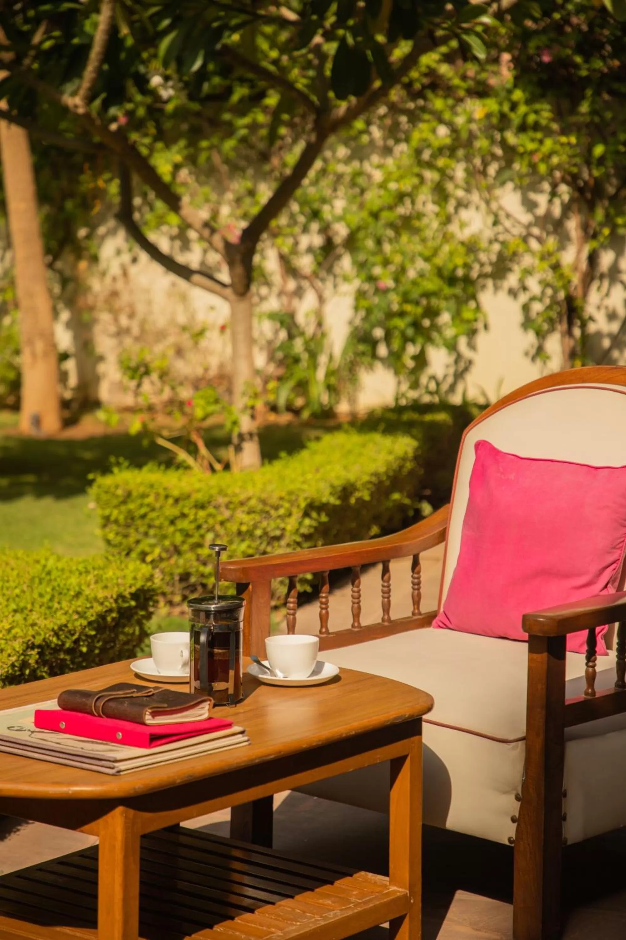 Garden in Daspan House