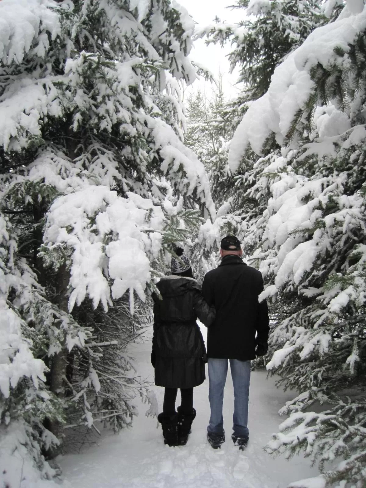 Hiking, Winter in Domaine de la Baie, Les Suites