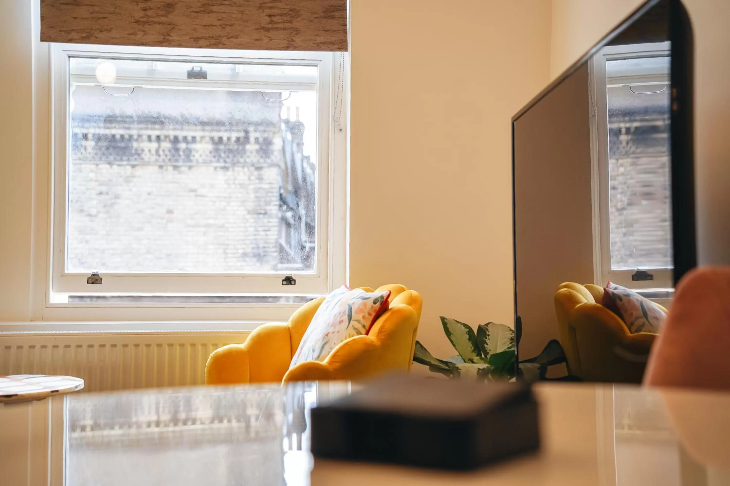 TV and multimedia in The Avonmore Olympia