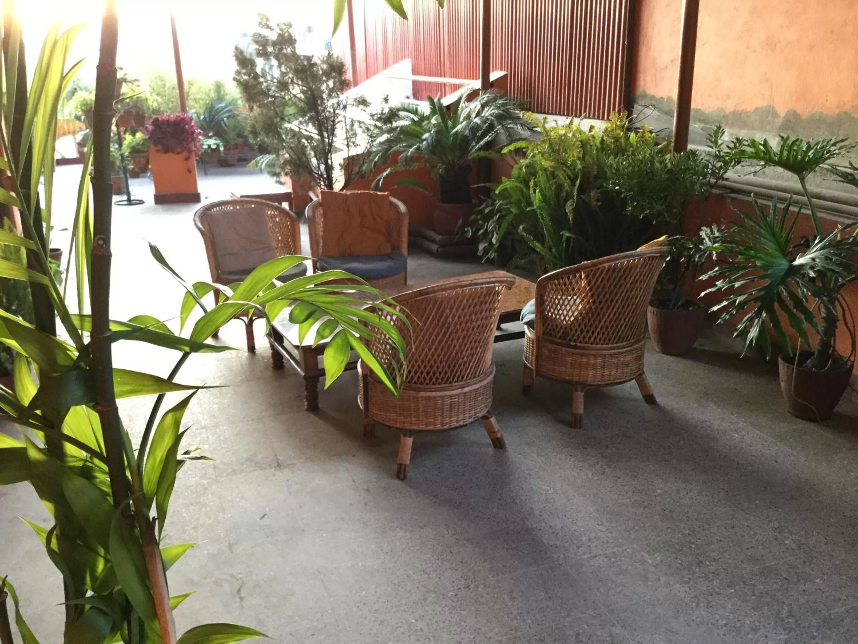 Garden in Trekkers Home