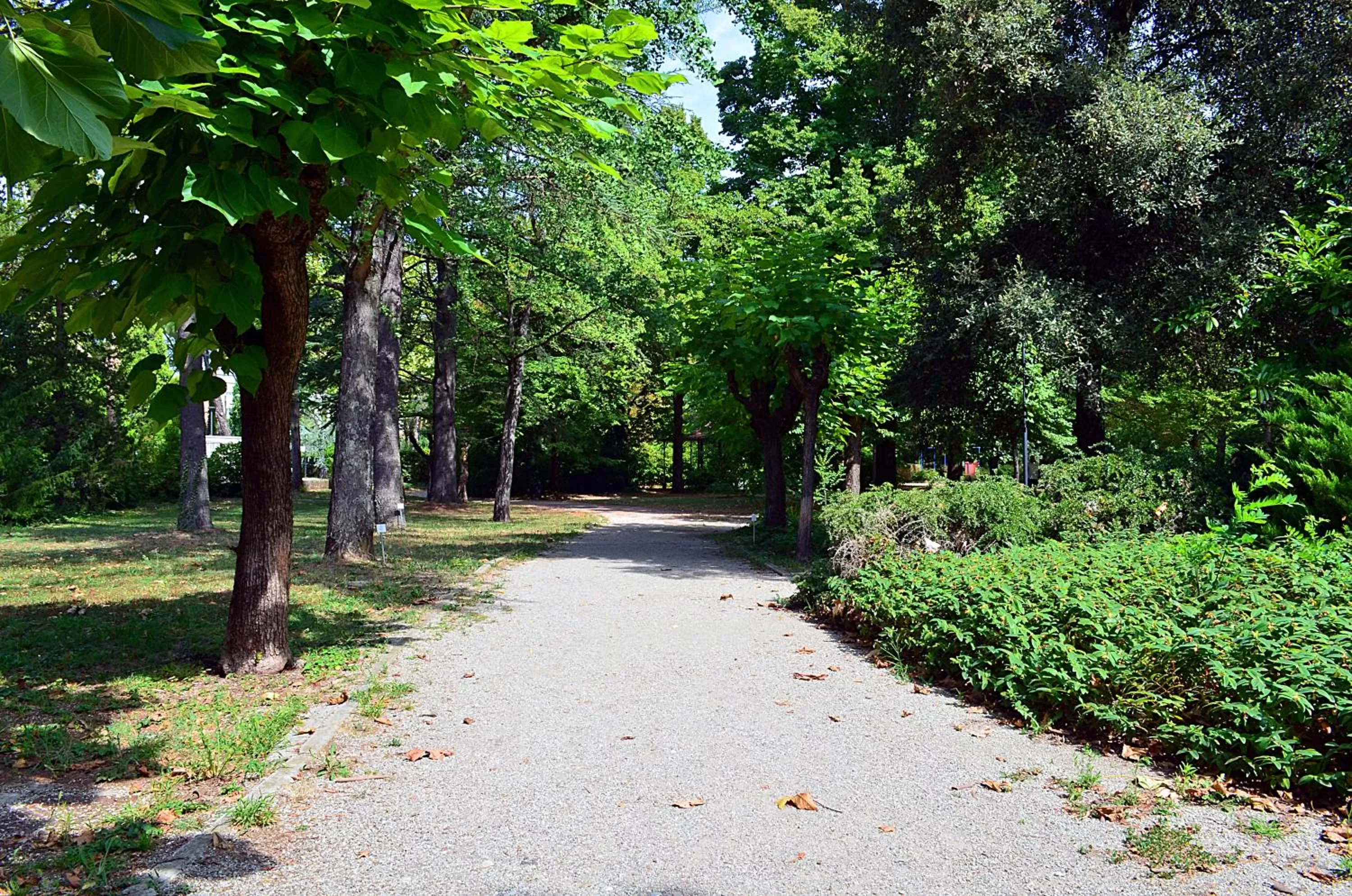 Garden in Hotel Terme di Castel San Pietro