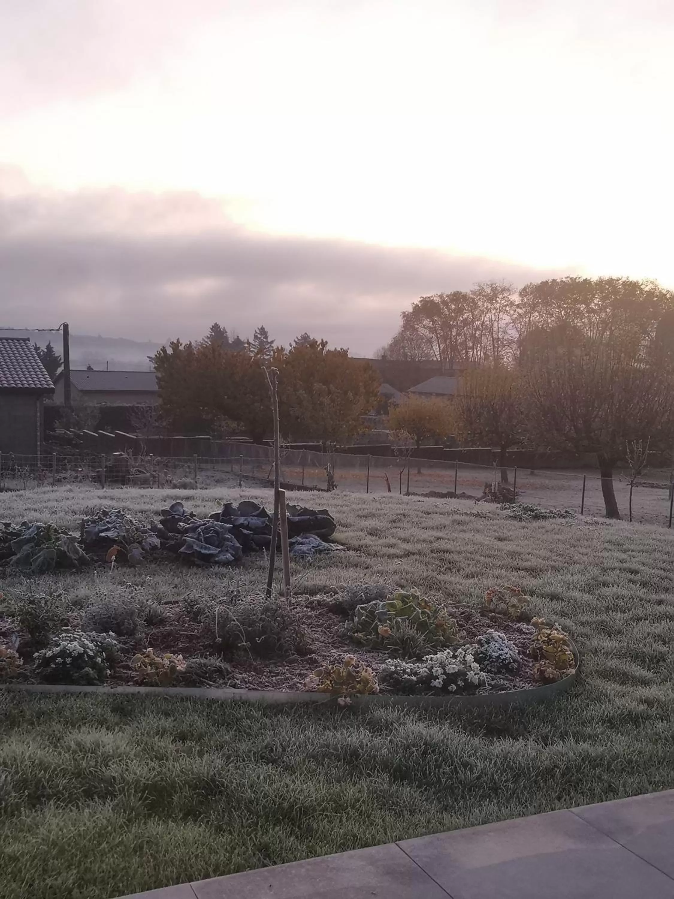 Garden view in Au Jardin des Deux Roches
