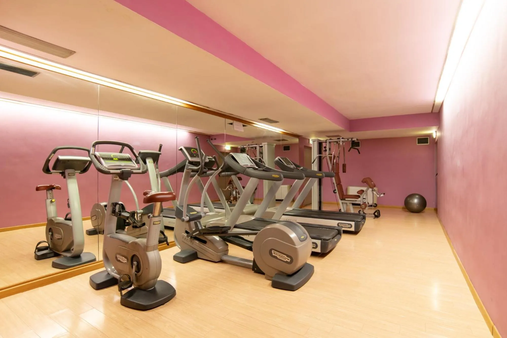 Fitness centre/facilities in Mercure Roma West
