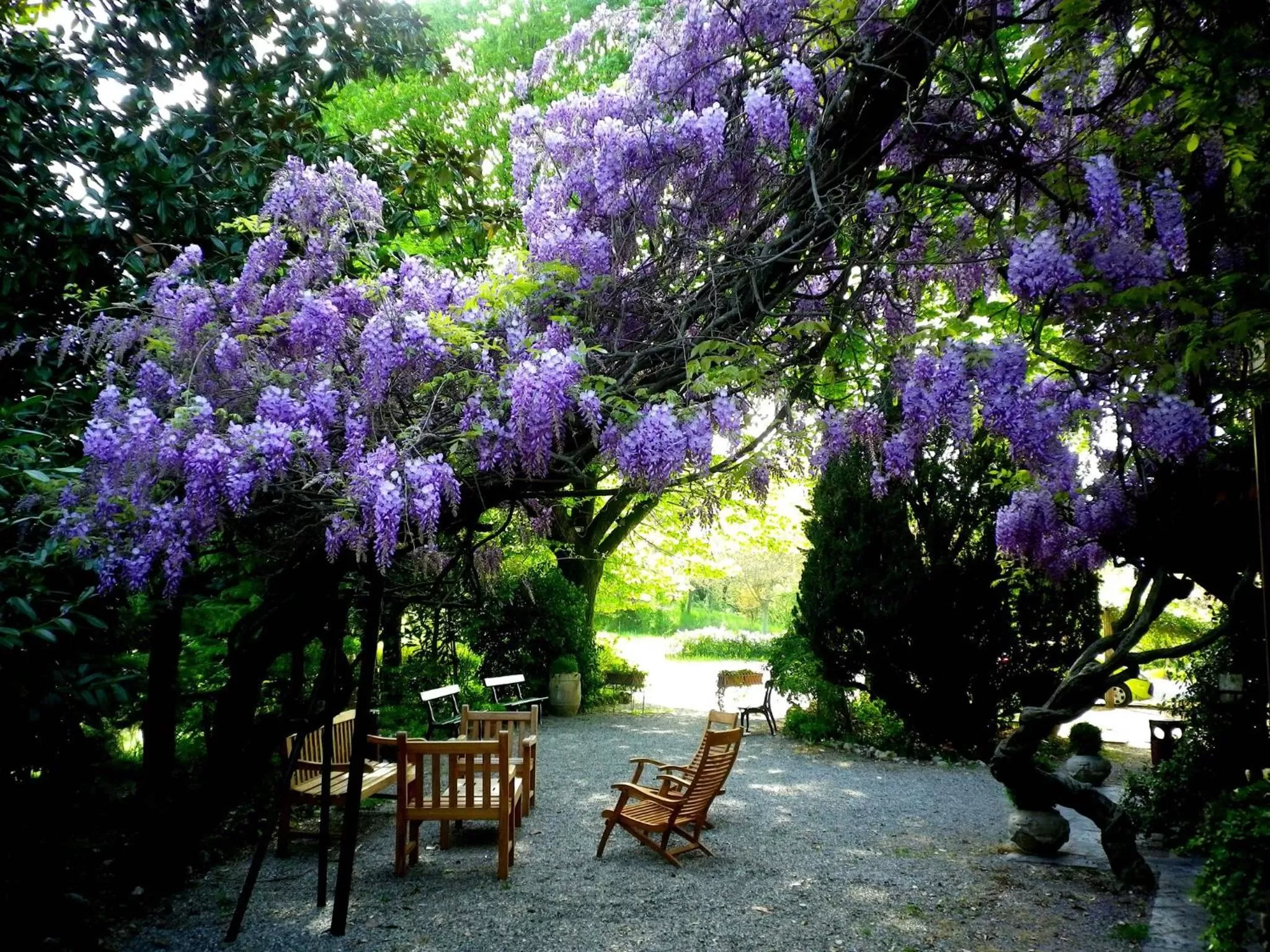 Garden in Le Querce Hotel