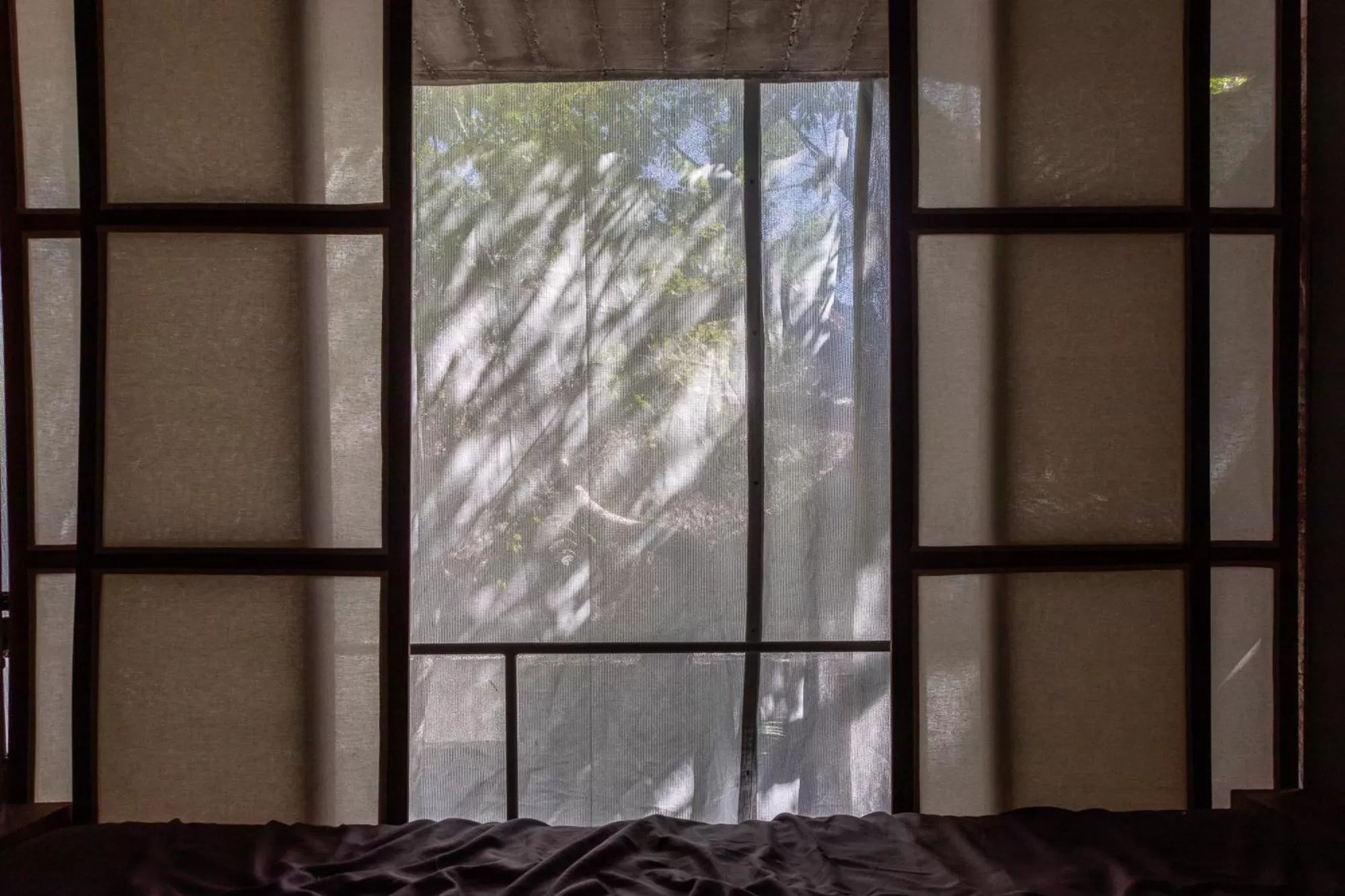 View (from property/room) in AORA San Pancho