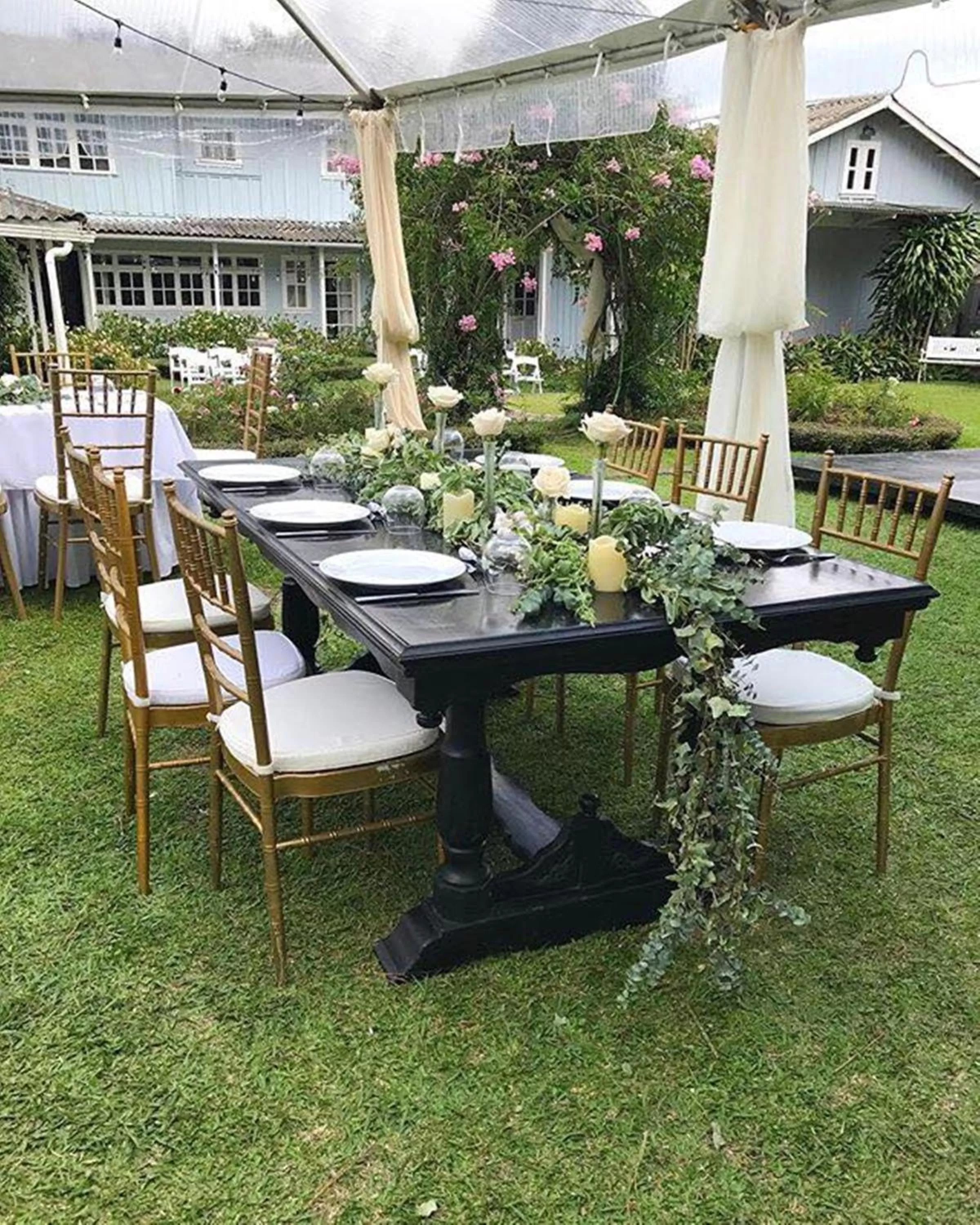 Garden in Hotel Panamonte