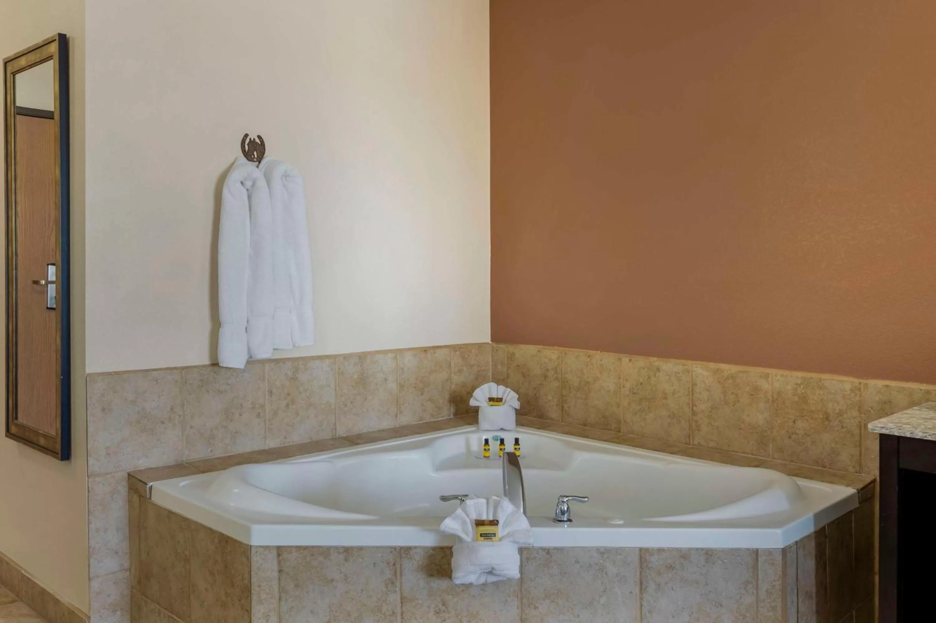 Bedroom in Best Western Plus Country Inn & Suites