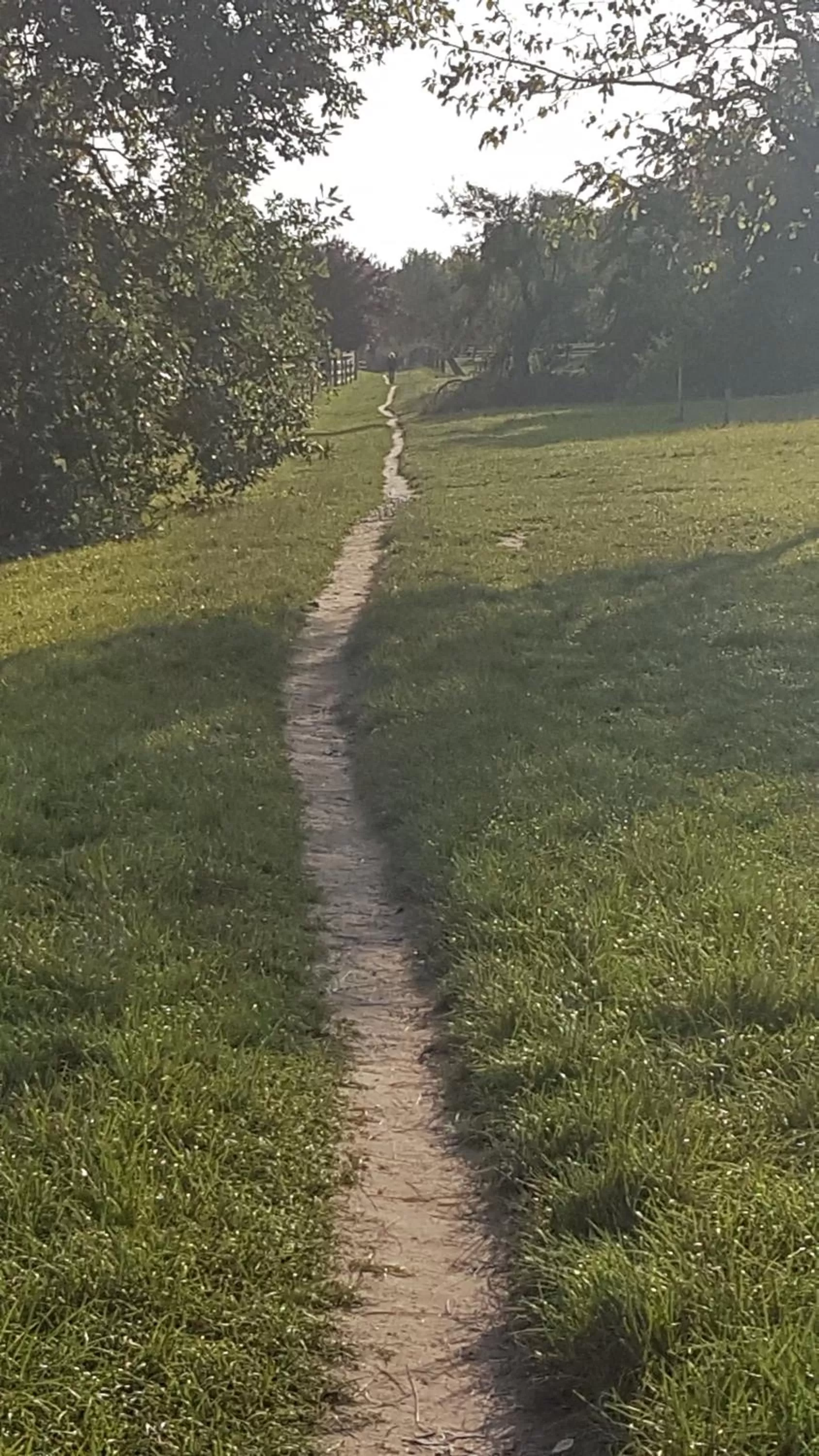 Hiking in Hardtwald Hotel