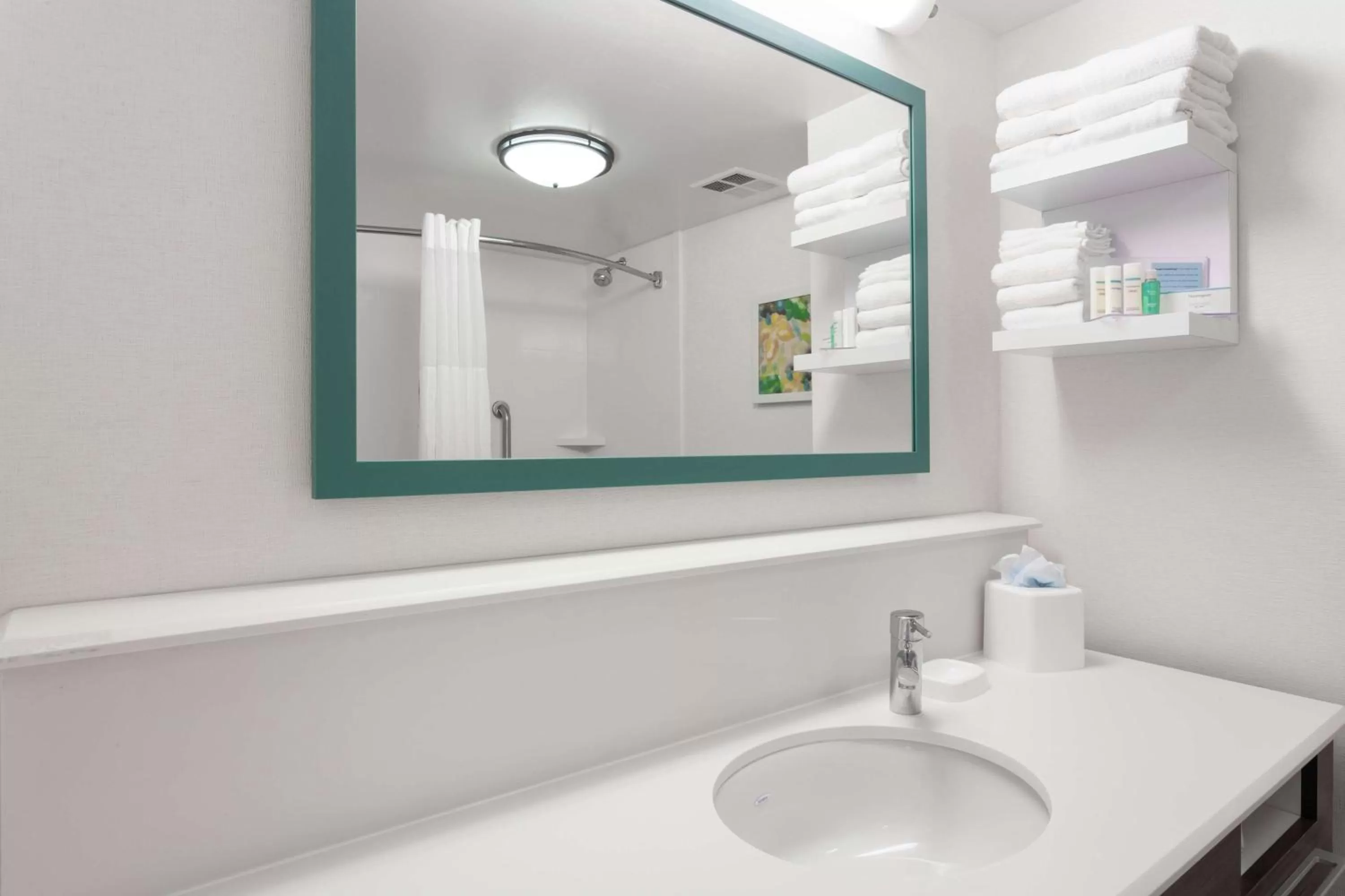 Bathroom in Hampton Inn Orlando International Drive Convention Center