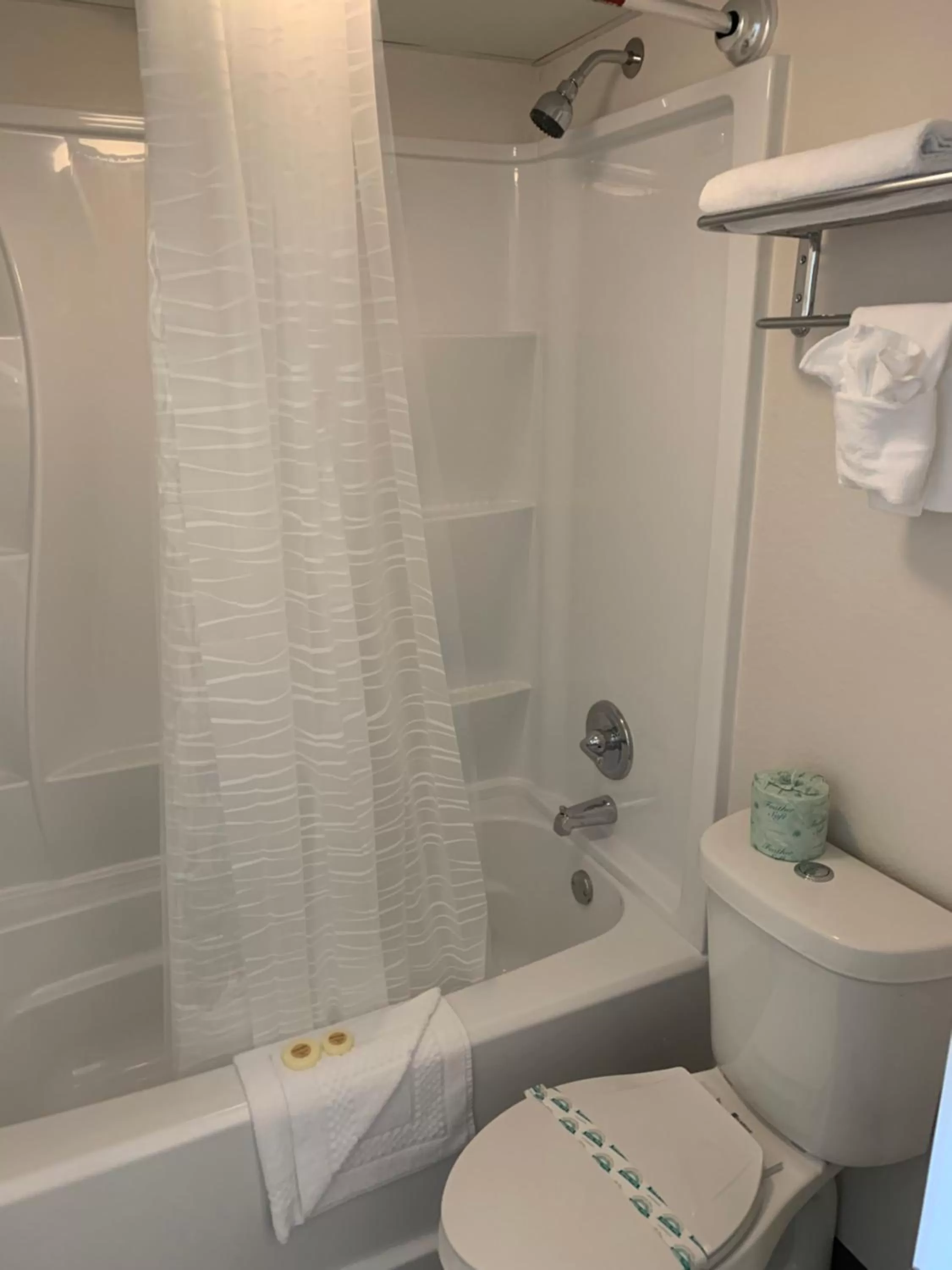 Bathroom in The Branson Welcome Inn