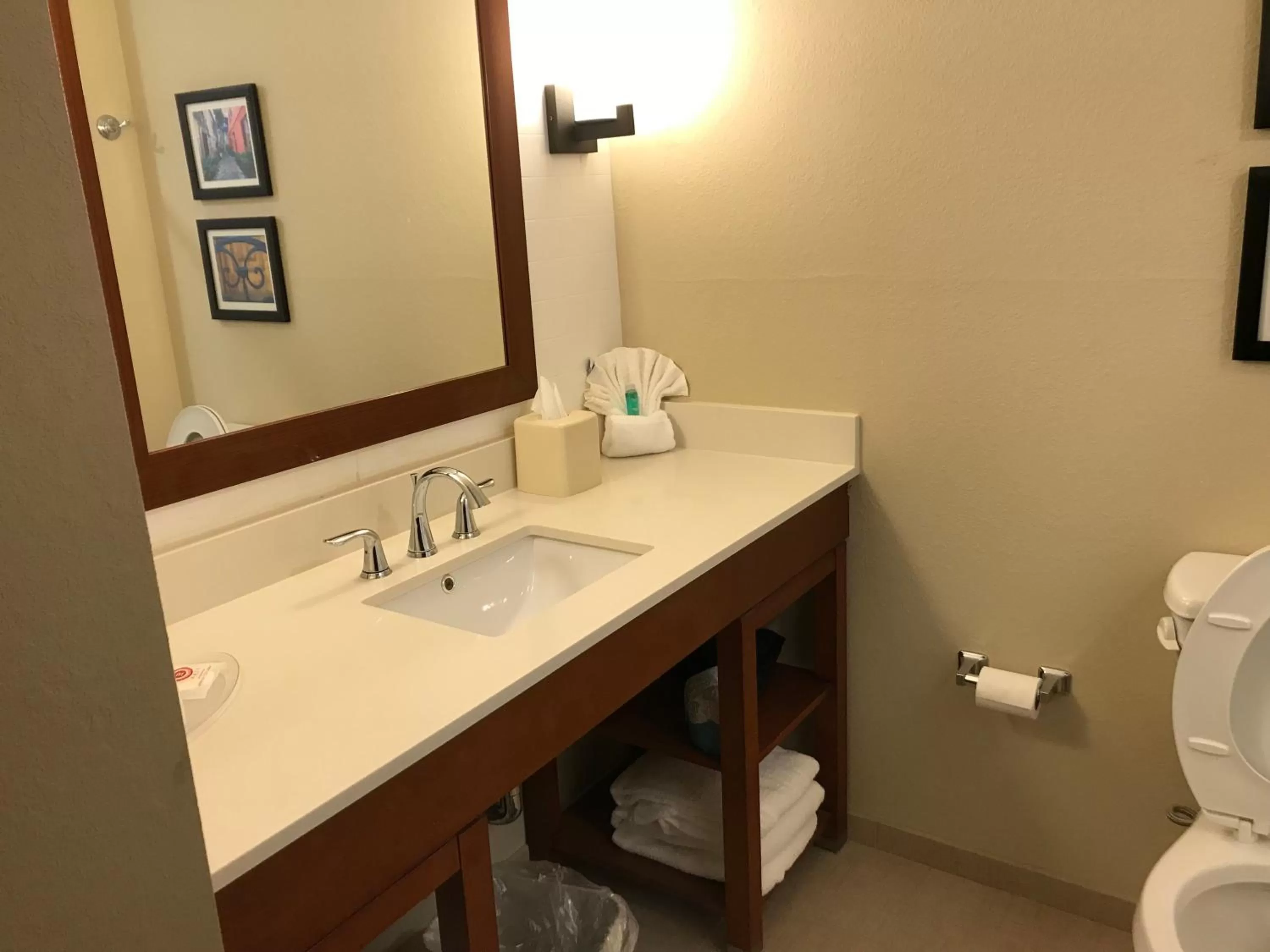 Bathroom in Comfort Suites Summerville North