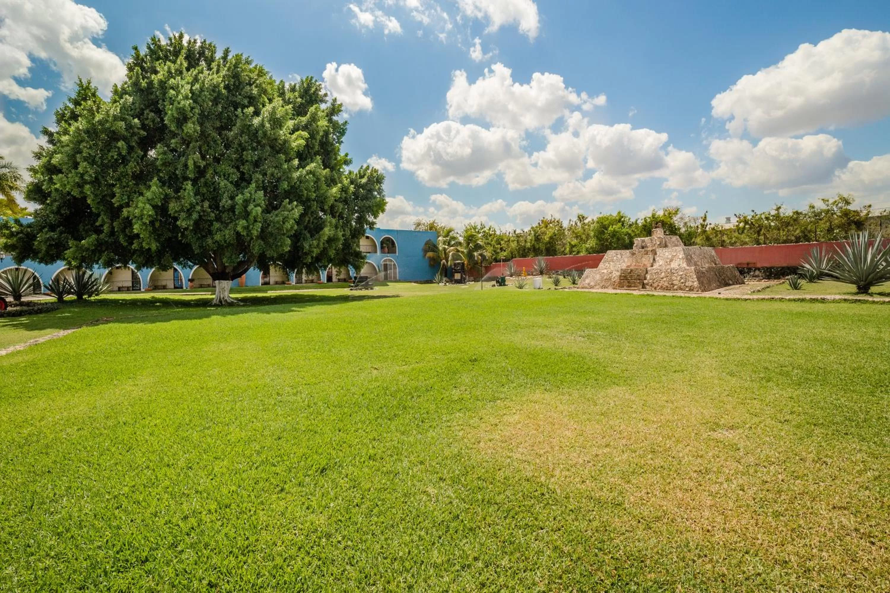 Garden in Hacienda Inn Aeropuerto