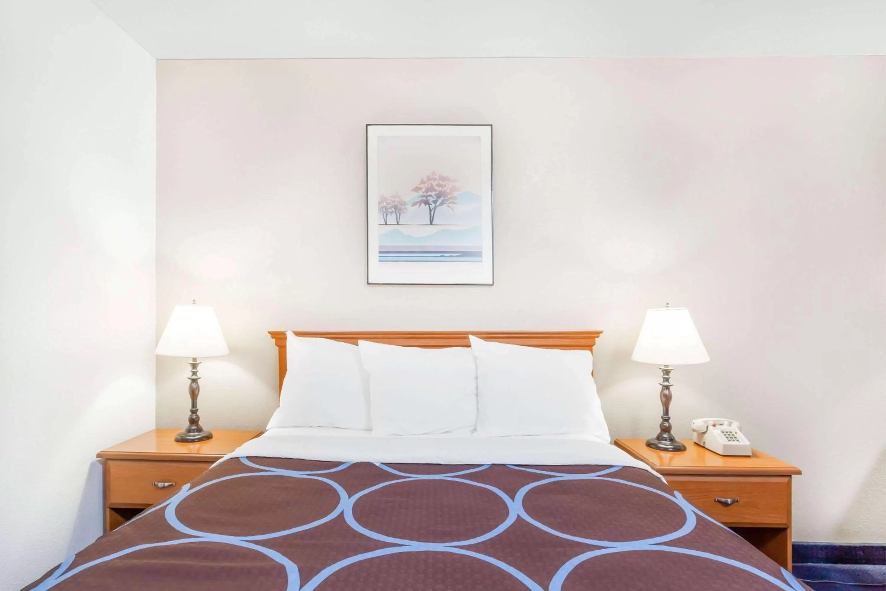 Photo of the whole room, Bed in Super 8 by Wyndham Montgomery Maybrook