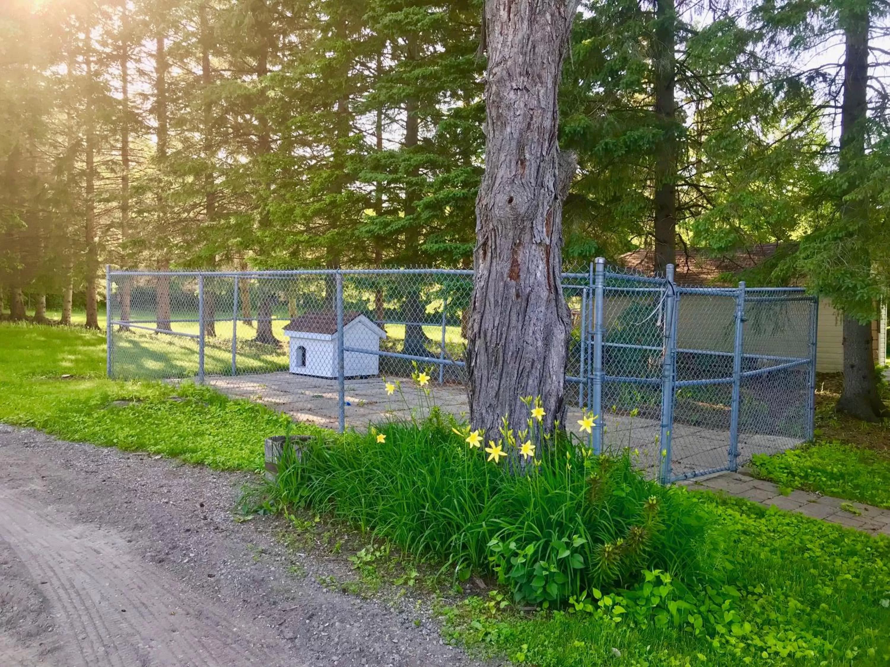 Pets in Auberge Tom B&B